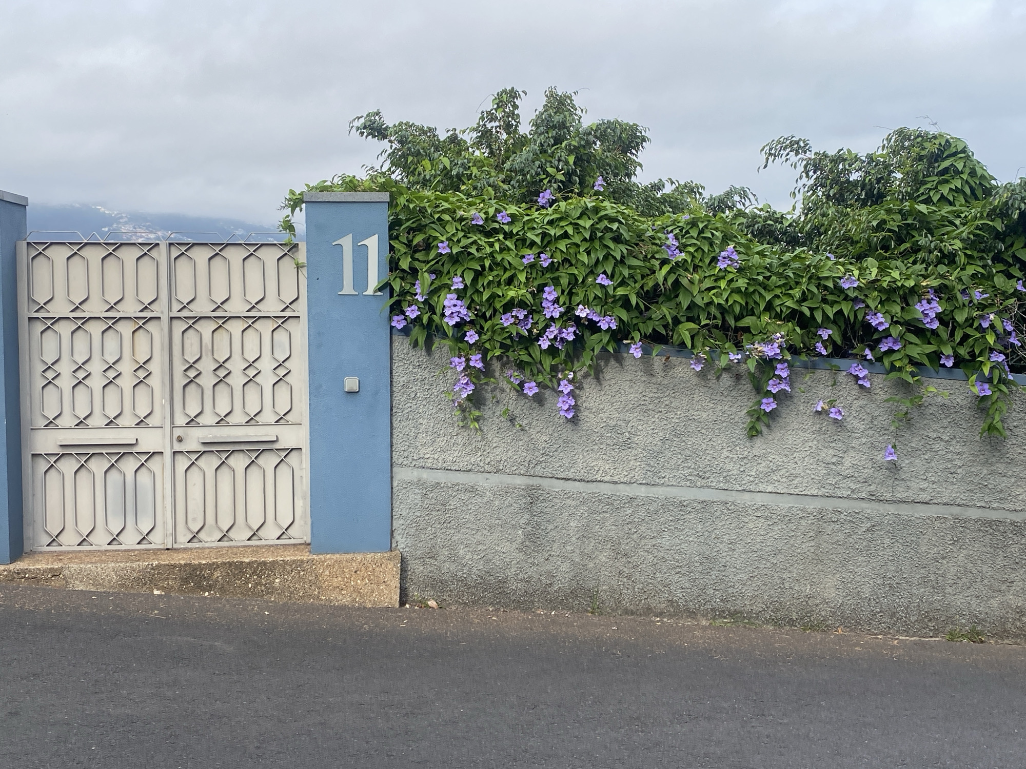 The image depicts a residential property entrance on a cloudy day in Funchal, Portugal. The foreground features an asphalt road, transitioning to a beige concrete border and then a grey, textured concrete wall. This wall is adorned with a lush green vine bearing small purple flowers, some of which cascade downwards. To the left, a tall, blue painted pillar supports a silver numeral '11'. Adjacent to this pillar is a double gate, constructed of light-colored metal with an ornate geometric pattern of ovals and diamond shapes. Behind the wall and gate, dense green foliage from trees is visible. The background shows a hazy mountainous landscape with hints of buildings. There are no people or animals in the frame, and no actions or interactions are taking place. The scene is static and captures a section of the property's exterior.