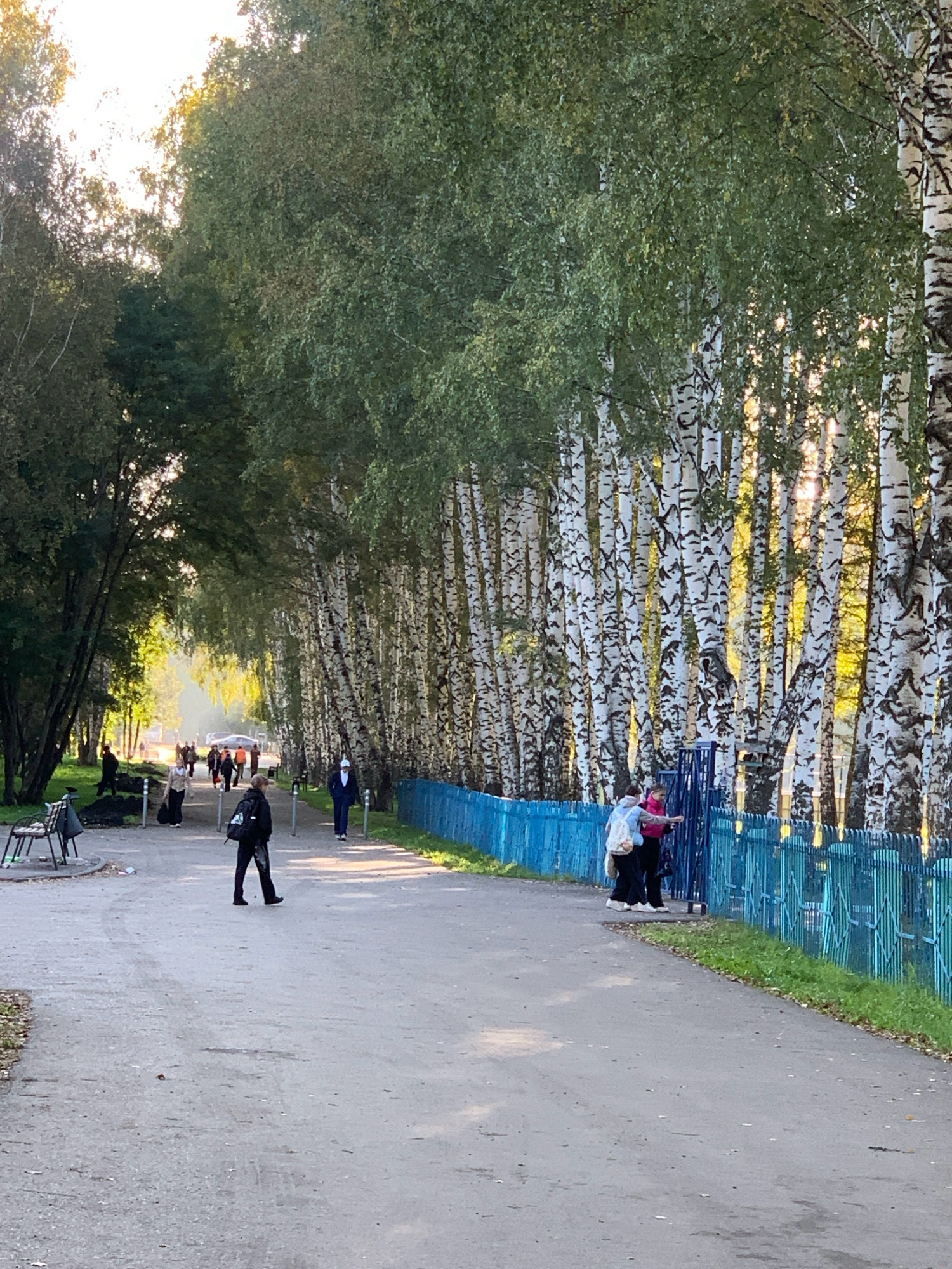 The image depicts a sunlit path lined with a row of birch trees on the right and a dense canopy of green trees on the left, creating an arched effect over the pathway. The path itself is paved and appears to be in a park or recreational area. Several individuals are present, walking or standing along the path.
On the right side of the path, a bright blue metal fence runs alongside the birch trees. Two young females are seen interacting near this fence, one wearing a pink jacket and the other a light blue jacket with a backpack.
Further down the path, on the left side, a lone individual with a black backpack is walking away from the camera. In the background, more people are visible walking, and cars are parked or driving further down the path, suggesting it might lead to a more populated area or a road. Benches are also present on the left side of the path.
The sunlight filters through the leaves of the birch trees, creating dappled light patterns on the ground and the fence. The overall atmosphere is one of a pleasant, possibly autumn, day in an urban green space.
This scene is identifiable as a location within the city of Prokopyevsk, Russia, specifically within the territory of the Prokopyevsk State Agricultural College, as confirmed by publicly available information and visual comparisons with satellite imagery and street view data of that specific location. The characteristic arrangement of the birch alley, the blue fence, and the surrounding greenery aligns with the visual markers of this educational institution's grounds.