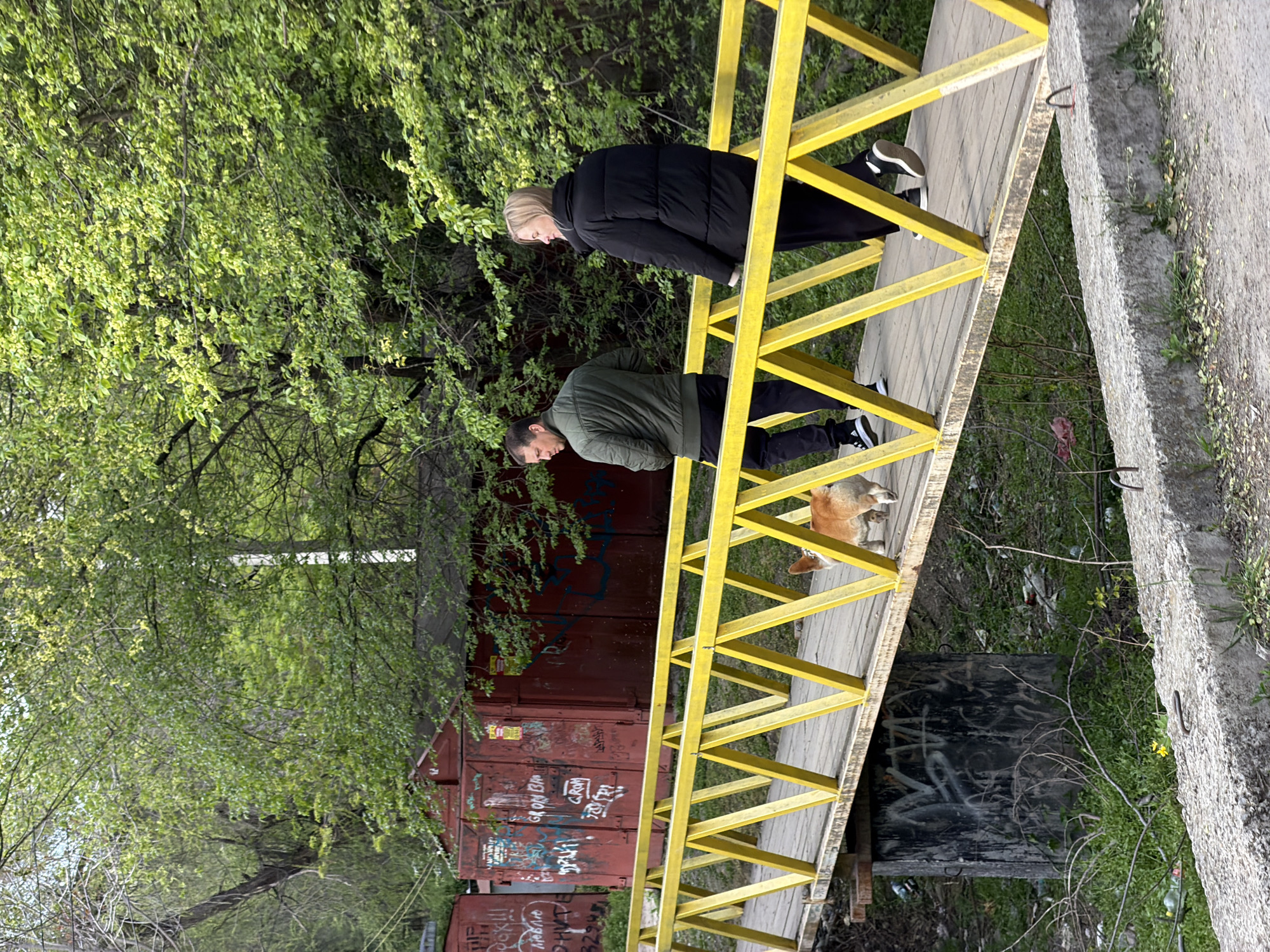 Two individuals, a male and a female, are walking across a yellow bridge in Rostov-on-Don, Russia. A dog is also present on the bridge. The bridge appears to span an area with vegetation and industrial elements. In the background, there are buildings with graffiti. The environment includes trees with green foliage.