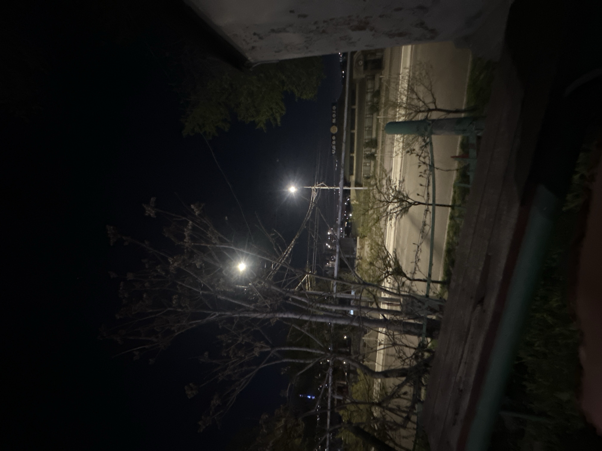 The image depicts a nighttime outdoor scene, viewed from an elevated perspective, possibly a balcony or bridge overlooking a street. The dominant feature is a dark night sky, partially illuminated by artificial light sources.
In the mid-ground, two bright streetlights cast distinct glows, revealing the intricate, bare branches of several trees in their immediate vicinity. A paved road or street runs below, illuminated by these lights, with faint markings visible. Across the road, in the background, a series of structures resembling buildings or industrial facilities are present, displaying scattered lights. On one of these structures or a sign, white text or symbols are faintly visible, appearing to spell "MOLO OGOO".
The foreground on the right side of the image features a wooden surface, possibly a bench or railing, and a section of a green pipe or rail, indicating the structure from which the photograph was taken. A tree with dense green foliage is visible on the upper left, contrasting with the bare branches of other trees.
The scene is static, with no visible activity or people. The time of day is clearly night, and the weather appears clear. The numerous artificial lights and road suggest an urban or semi-urban setting.