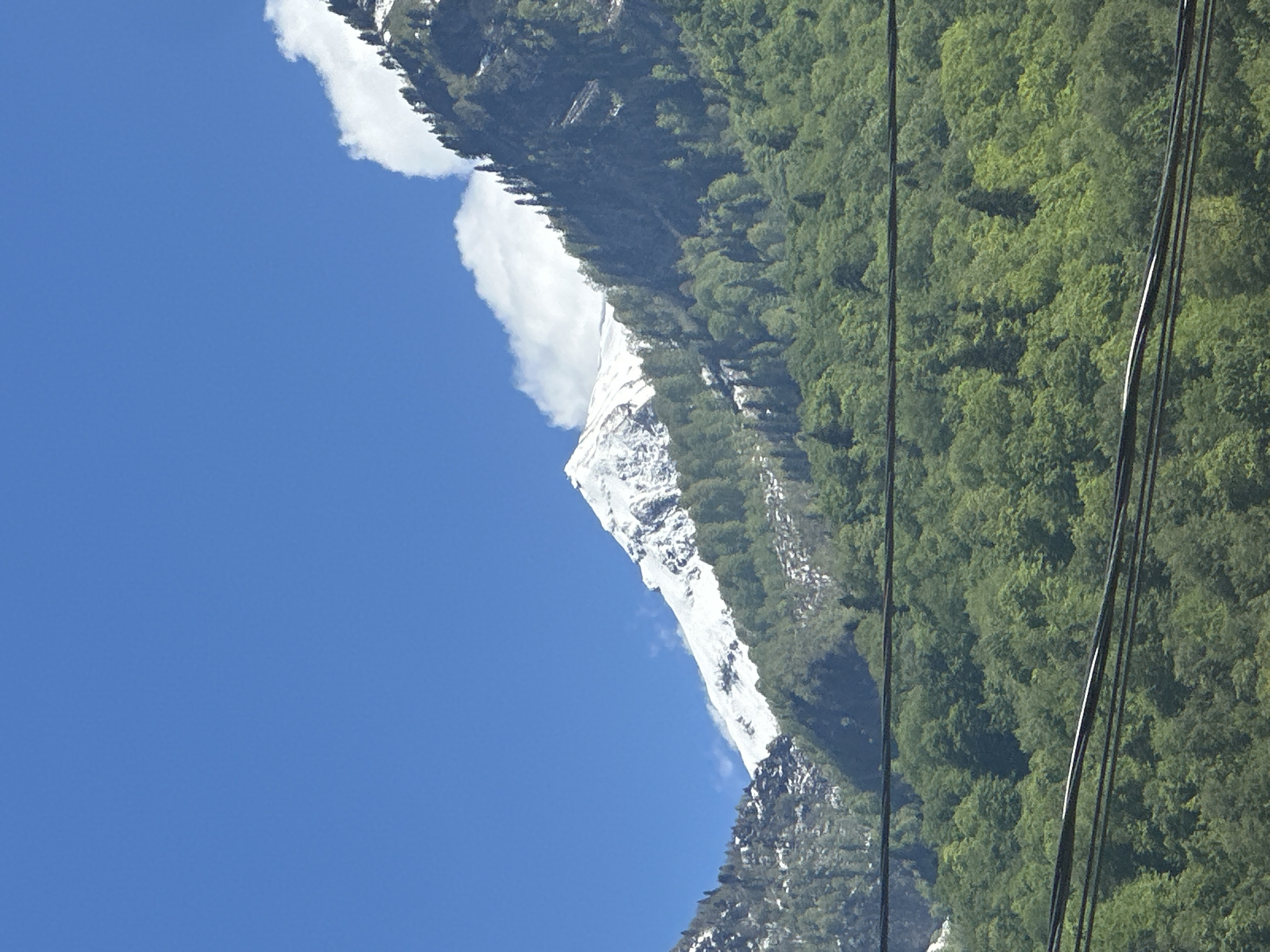 The image displays a majestic mountainous landscape under a clear, bright blue sky. Dominating the scene are steep mountain slopes, densely covered with vibrant green trees forming extensive forests. Towards the upper-middle and central portions, a prominent snow-capped peak gleams white, contrasting with the dark green foliage and the deep blue sky. A few white, fluffy clouds are scattered across the sky, with one appearing to hug the snowy ridge.
Several dark cables, possibly part of a ski lift or power lines, run vertically through the right side of the frame, partially obscuring the forested mountain. The bright illumination suggests it is daytime, and the weather appears clear. No people or specific activities are visible, presenting a serene natural vista. The setting is Krasnaya Polyana, Russia. There is no visible text in the image.
