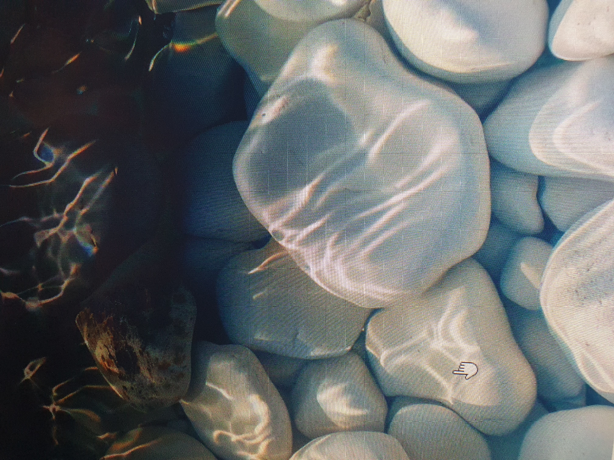 The image shows a close-up view of smooth, white pebbles submerged in water. Sunlight filters through the water, creating dappled light patterns on the stones. A few darker, larger stones are visible in the background, and there are hints of colorful refractions, possibly from the sunlight. In the foreground, a computer cursor, shaped like a pointing hand, is visible on one of the pebbles. The image appears to be a digital display, given the pixelation and the presence of the cursor. There are no people or any identifiable landmarks of Tashkent, Uzbekistan, present in the image.