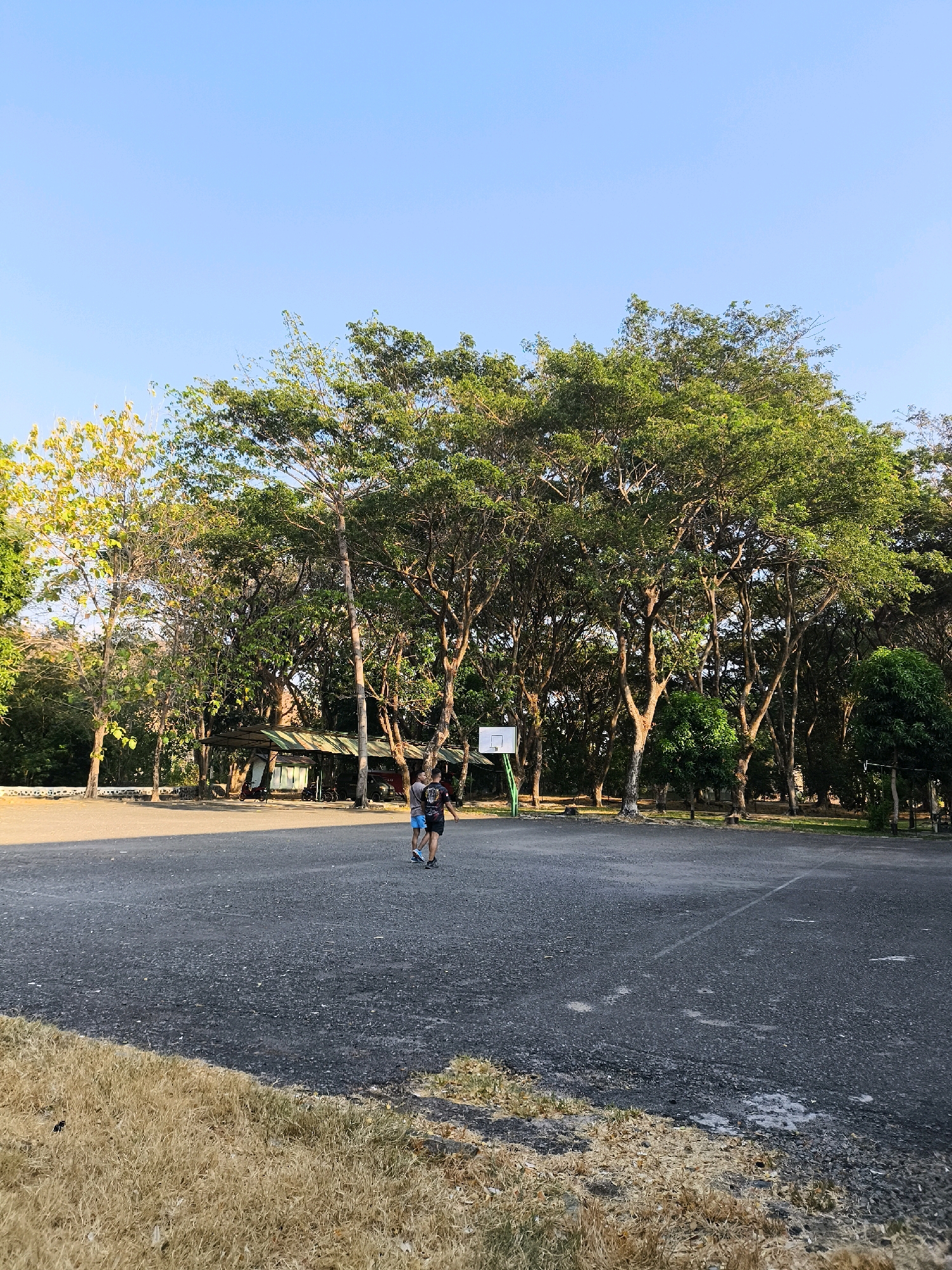 Two young males are walking across a paved court, possibly a basketball court, in an outdoor park. They are facing away from the camera, with one in a dark shirt and blue shorts, and the other in a black shirt with a white design and dark shorts. A basketball hoop with a white backboard and orange rim is visible behind them. The court is surrounded by numerous tall trees with lush green foliage, some of which have yellowing leaves. The sky is clear and blue. In the background, there is a covered structure with a weathered roof and some parked motorcycles. The foreground shows dry, light brown grass. The overall scene suggests a warm, sunny day in a park setting in an unspecified location in Indonesia.