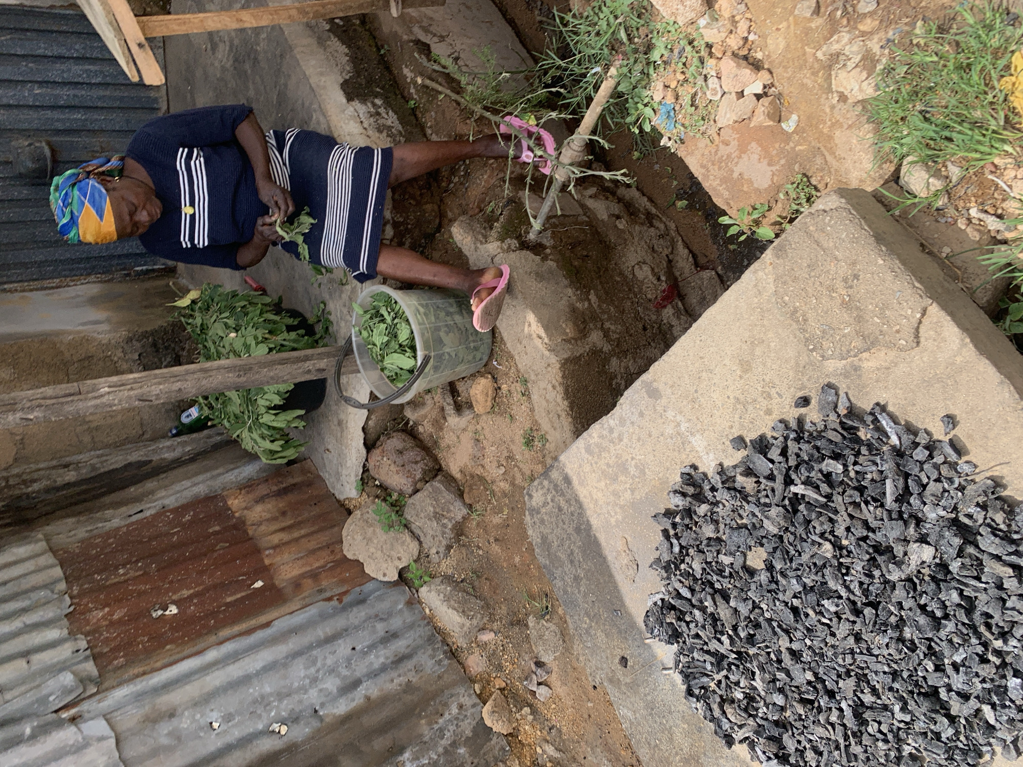 Jos, Nigeria. An adult Black female wearing a blue and white dress and a multi-colored headscarf sits outdoors. She appears to be sorting green leaves from a pile into a green plastic bucket. She wears pink sandals. To the right of the woman is a pile of charcoal resting on a concrete slab. Corrugated metal lies to her left. The ground is a mix of dirt, concrete, and weeds. There is also a small bare tree with pink ties.