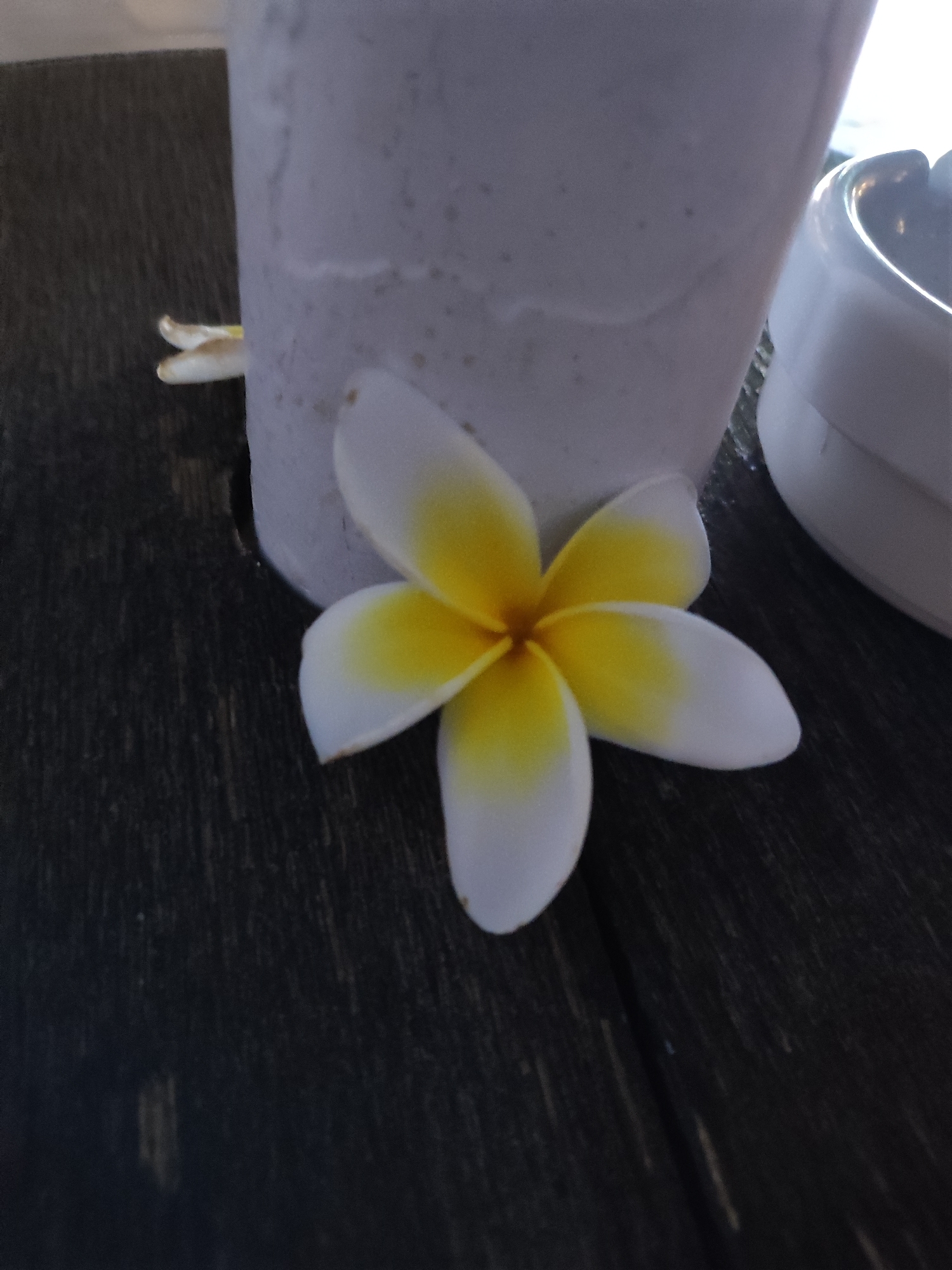 The image shows a close-up of a single plumeria flower with white petals fading to yellow in the center. It rests on a dark, wooden surface, possibly a table, with a portion of a white cylindrical object, perhaps a cup or container, behind it. To the right of the flower, a white ashtray is partially visible. Another plumeria petal is seen behind the main flower, closer to the white cylinder. The lighting suggests it might be daytime, possibly late afternoon or early morning, given the soft shadows. The setting appears to be outdoors, given the natural light and the outdoor furniture implied by the wooden surface and ashtray. The scene is tranquil and serene, with the focus on the delicate beauty of the flower. There is no visible text in the image. The location context provided is the Municipal Unit of Rhodes, Greece.