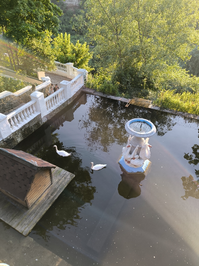 This image depicts the Swan Pond (Лебедине озеро) within Podilsky Park (Подільський парк) in Kamianets-Podilskyi, Ukraine.
The scene is an outdoor landscaped park area dominated by a dark, reflective body of water, likely a pond. In the upper-left quadrant, a white stone balustrade with classical-style spindles borders a paved pathway or series of steps. Approximately three individuals are visible on this pathway, positioned behind the balustrade.
Within the pond, two white swans are swimming, positioned towards the left-center of the frame. In the lower-left, a small, wooden A-frame structure with a dark, shingled roof rests on a wooden platform floating on or situated at the edge of the water, presumably a swan shelter. Towards the right side of the pond, a white, multi-tiered fountain is centered. Its base is painted blue and features several white swan sculptures, with water visibly spraying from its uppermost tier.
The water's surface reflects the surrounding elements, including the overhead trees. Dense, vibrant green deciduous foliage and trees comprise the background and upper half of the image, indicating a heavily wooded environment surrounding the pond. Sunlight illuminates the scene from the upper-left, casting bright highlights and reflections. A rainbow-like optical artifact is present in the upper-left corner, extending diagonally into the water.