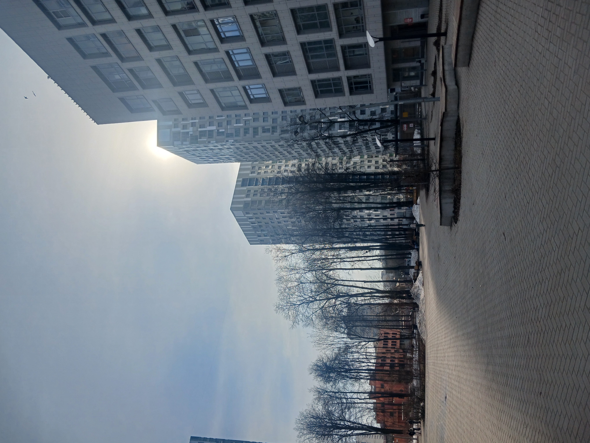 The image shows a cityscape in Perm, Russia. Tall, modern apartment buildings with a grid of windows dominate the background. A row of bare trees lines a pedestrian walkway paved with rectangular stones. The sky is overcast. There are no visible people in the immediate foreground. An older, red brick building is visible behind the trees, adding a contrasting architectural element.