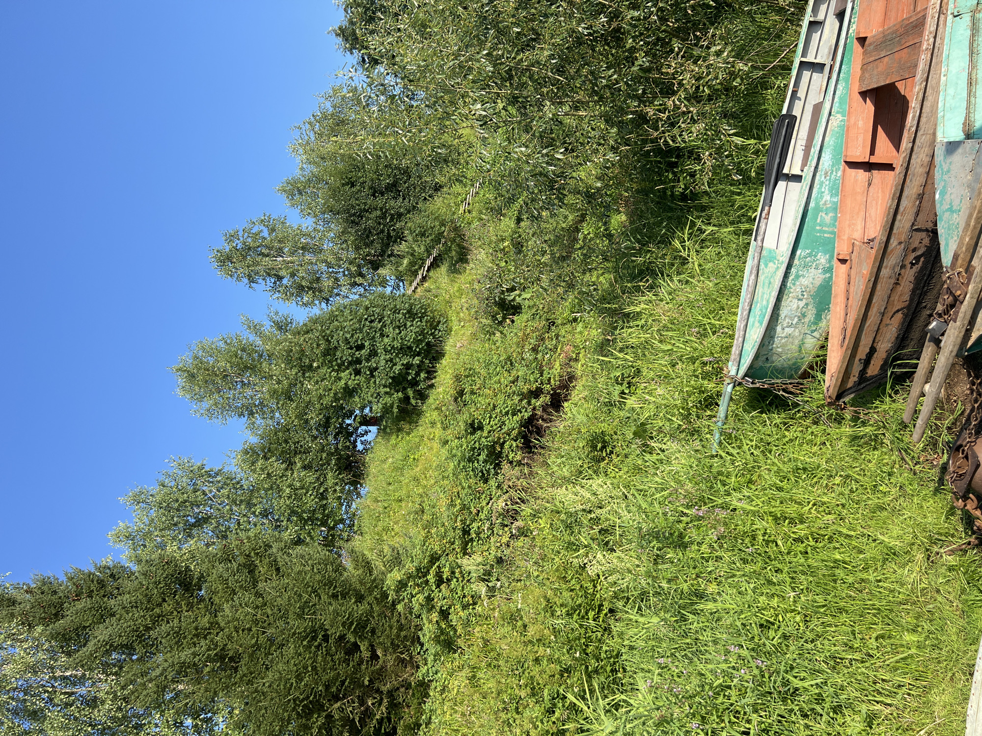 This image depicts a natural outdoor scene, likely in Kondas, Russia, on a clear day with a bright blue sky. In the foreground, two rowboats are resting on grassy terrain. The upper boat is painted green and appears somewhat weathered, with a black oarlock visible. Beneath it, a second boat, primarily orange and brown, is also resting on the ground.
The background is dominated by lush green vegetation, including a dense hillside covered in trees and various plants. A narrow, wooden staircase winds its way up the side of the hill, disappearing into the foliage. The overall impression is one of a serene, rural environment, possibly a lakeside or riverbank, with evidence of recreational activity in the form of the boats and the access path.