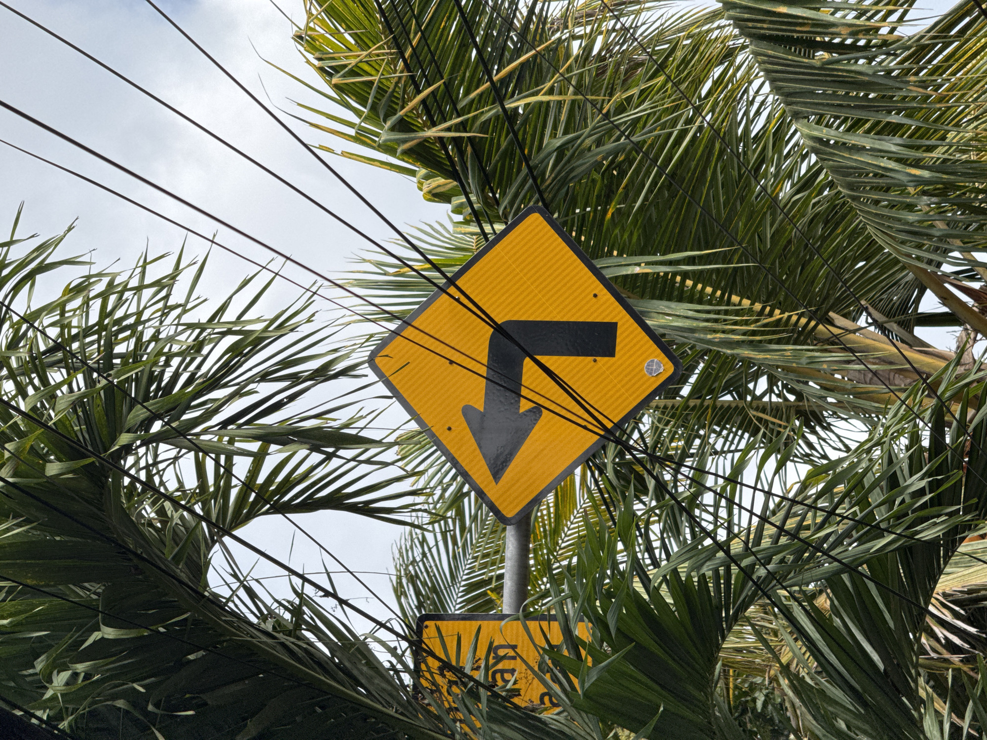 The image shows a yellow diamond-shaped road sign with a black arrow indicating a sharp left turn. The sign is positioned outdoors, partially obscured by lush green palm fronds. Overhead, a tangle of black electrical wires crisscrosses the scene, against a cloudy sky. To the left of the main sign, another yellow sign with black lettering, appearing to be in a foreign language, is visible. The scene appears to be in Kuta Selatan, Indonesia, a location known for its tropical climate and abundant palm trees.