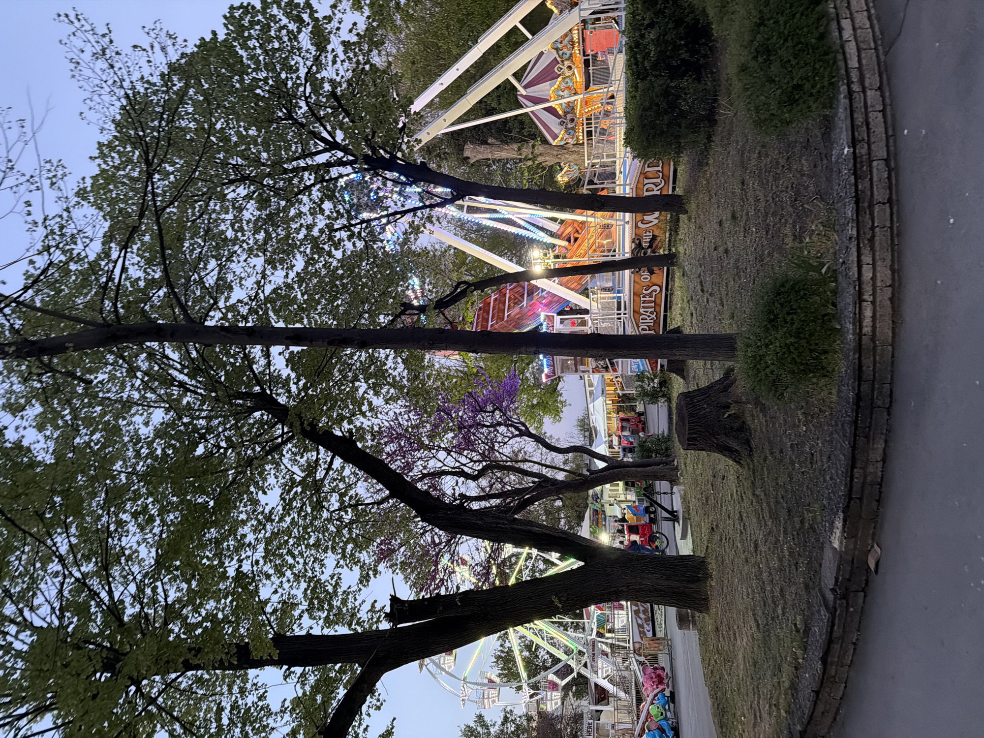 The image captures a view within a park in Shumen, Bulgaria, likely during the evening or late afternoon given the dusky lighting. Tall trees, partially obscuring the view, frame an amusement park setting.
Visible within the park is a Ferris wheel, adorned with lights. To the right of the Ferris wheel, a ride branded "Pirates of the World" is partially seen. People are visible in the background near other rides, suggesting the park is active. The ground consists of grass patches and paved walkways. Tree trunks are visible along the pathway.