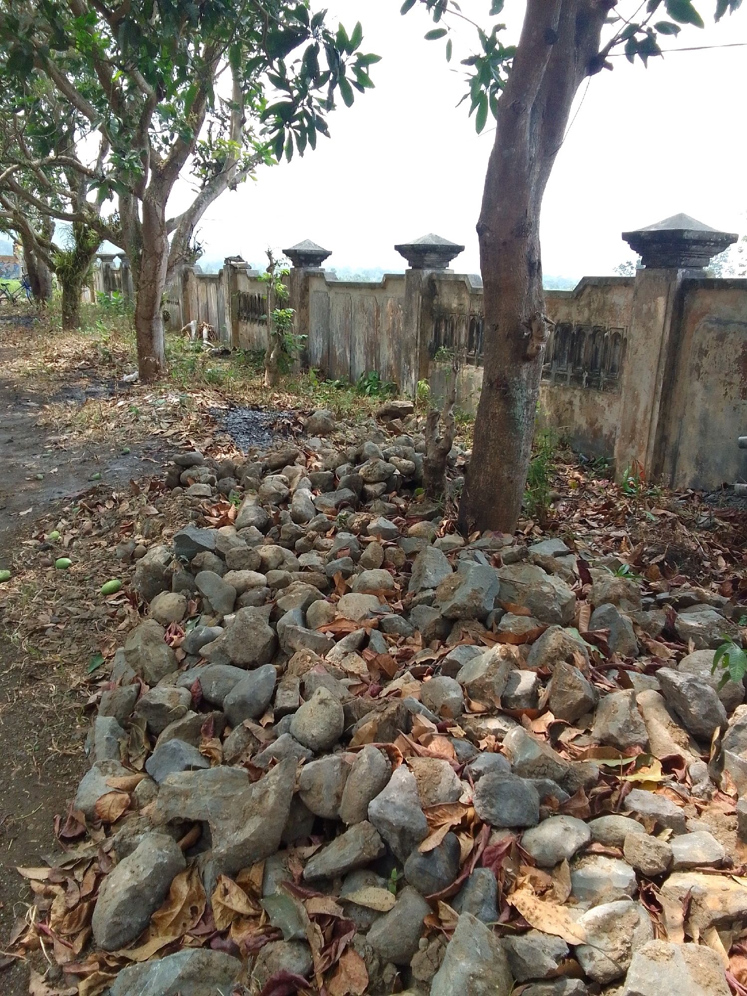 This is a medium-angle, eye-level, outdoor photograph taken during the daytime in Trenggalek, Indonesia. The scene depicts a weathered stone wall with decorative elements and a fence, likely part of a property boundary. In the foreground, a pile of rough, grey stones is interspersed with dry, fallen leaves. The stones appear to be of various sizes and shapes, some smooth and others jagged. The ground on the left is a dirt path, also covered in scattered leaves and a few green, elongated objects that could be fruit or vegetables. Several trees with light-colored bark and green foliage are visible, with one particularly prominent tree trunk in the center of the frame. The stone wall extends horizontally across the background, featuring a decorative band with repeating arch-like motifs and topped with square, pointed finials. The sky is bright and overcast. The overall impression is one of an unkempt but rustic outdoor area.