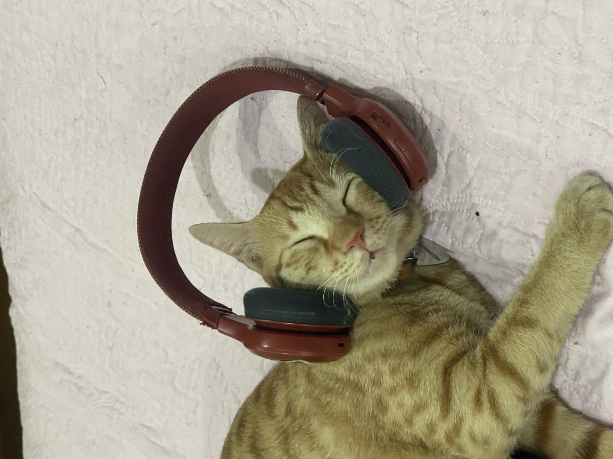 An orange tabby cat with closed eyes is lying down on a pink textured surface, possibly a bedspread. The cat is wearing large, over-ear headphones that are dark red on the outside and dark gray on the inside. The headphones are positioned over the cat's ears. The cat appears to be relaxed and possibly asleep, with its mouth slightly open, revealing a small portion of its tongue. A brown collar is visible around the cat's neck, with a small silver tag attached. The tag has some faint black text and numbers on it. The background is a light pink, quilted fabric. There are no people present in the image. The scene is an indoor environment, likely a home. There is no visible indication of the city of Denpasar, Indonesia.