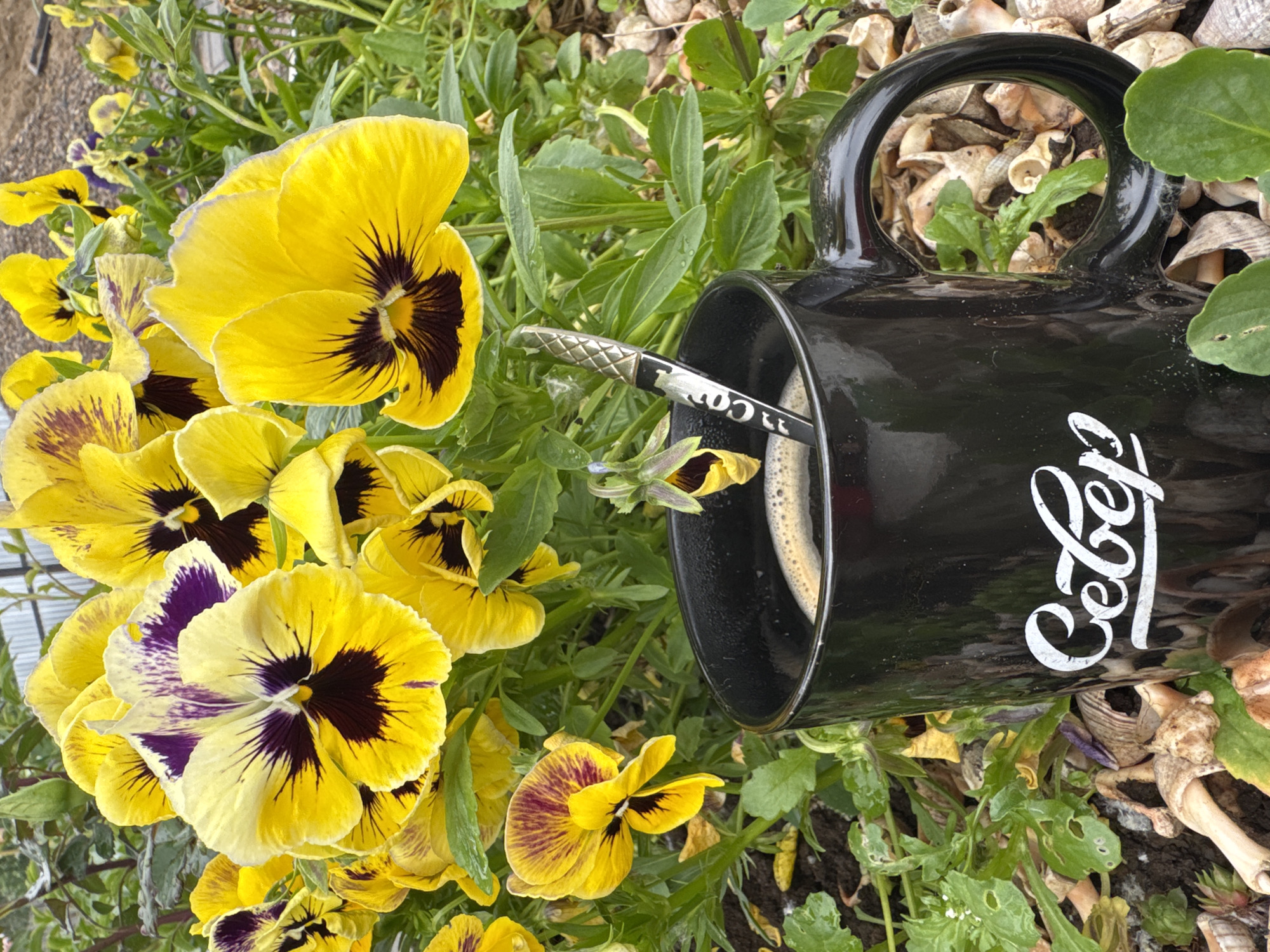 A black mug of coffee sits on the ground among yellow and purple pansies. The mug has the word "Sever" written on it in white cursive. A spoon rests in the coffee. The background is blurred and consists of more pansies and greenery.