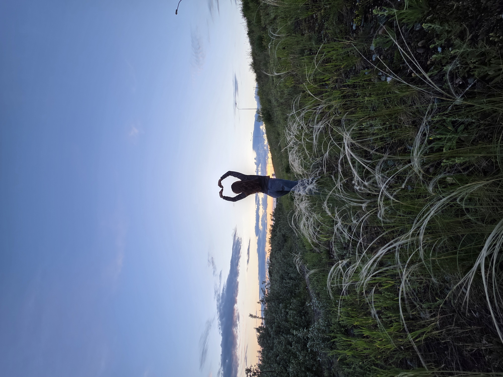 This image depicts a serene outdoor scene at dusk in Chaikovsky, Russia, with a primary focus on a silhouetted figure against a vibrant sky. The person, with long hair, is wearing a long-sleeved top and jeans. They stand with their back to the viewer, their arms raised above their head, forming a heart shape with their hands. This gesture conveys a sense of love, joy, or appreciation.
The setting is a grassy hillside or embankment, lush with green vegetation. In the foreground and along the right side, distinctive long, wispy, feathery white grass (likely Stipa or feather grass) is prominent, creating textural interest. Beyond the immediate incline, other green foliage and bushes can be seen. In the distance, several streetlights or utility poles are silhouetted against the horizon, hinting at a nearby road or developed area. Faint outlines of hills or mountains are visible in the background, adding depth to the landscape.
The time of day is clearly sunset or dusk, indicated by the warm, soft light painting the horizon. The sky transitions from a clear, light blue overhead to warmer shades of orange, pink, and purple closer to the horizon, where scattered clouds catch the last rays of sunlight. The overall atmosphere is tranquil and contemplative. No text is visible in the media file.