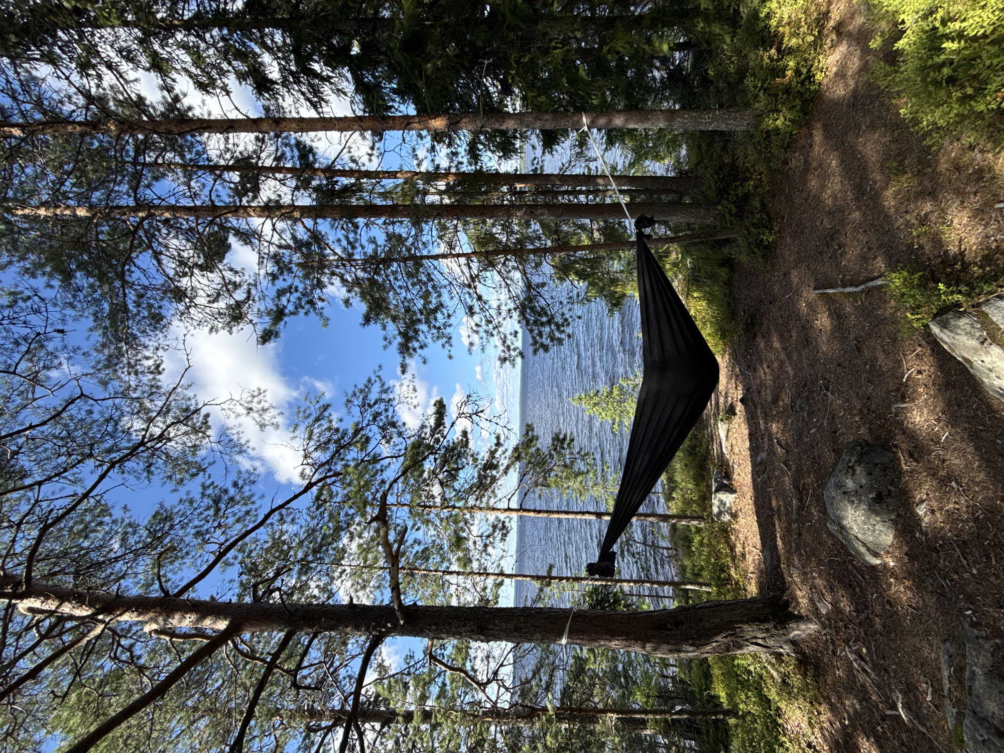 This image depicts a serene forest scene overlooking a body of water, likely a lake, under a partly cloudy blue sky. The foreground is dominated by a black hammock strung between two tall pine trees. The ground is covered in pine needles, fallen leaves, and scattered rocks. Dense green foliage, including small bushes and undergrowth, borders the clearing where the hammock is set up.
The trees, characteristic of a boreal forest environment, are tall and slender with rough bark. Sunlight filters through the branches, creating dappled patterns on the ground. The water in the background appears calm with gentle ripples, suggesting a peaceful day. The horizon line is visible in the distance, with landmasses or islands barely discernible.
While the image evokes a sense of tranquility and an outdoor recreational setting, there is no indication that this location is within the city of Tampere, Finland, or any other specific urban area. The scene is natural and undeveloped. There are no people or any signs of human activity beyond the hammock itself and its suspension system tied to the trees.
