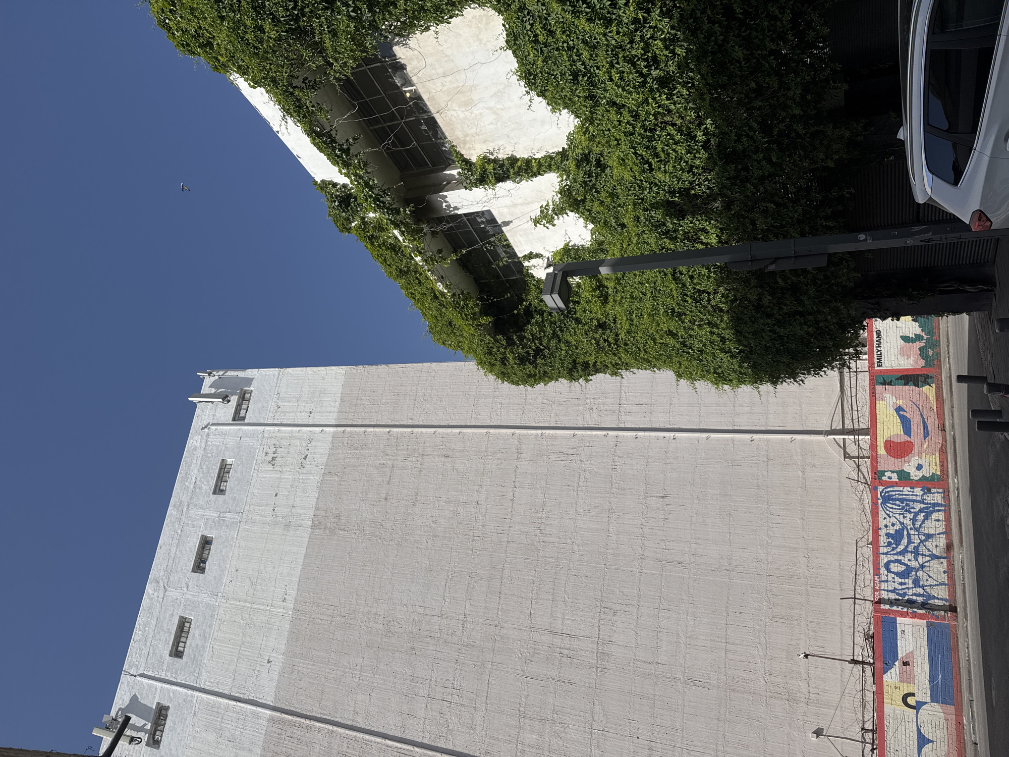 The image presents an upward-angled perspective of buildings in Tel Aviv, Israel.
One building is a stark white, multi-story structure with a series of small, vertically-oriented windows. A mural with colorful geometric and abstract shapes runs along the base of the building where it meets the sidewalk. The name "EMILY HAND" is incorporated into the design.
A second building is partially visible, covered in dense green ivy. A streetlamp stands between the two buildings, and the back of a white car is parked on the street.
The sky is a clear, deep blue.