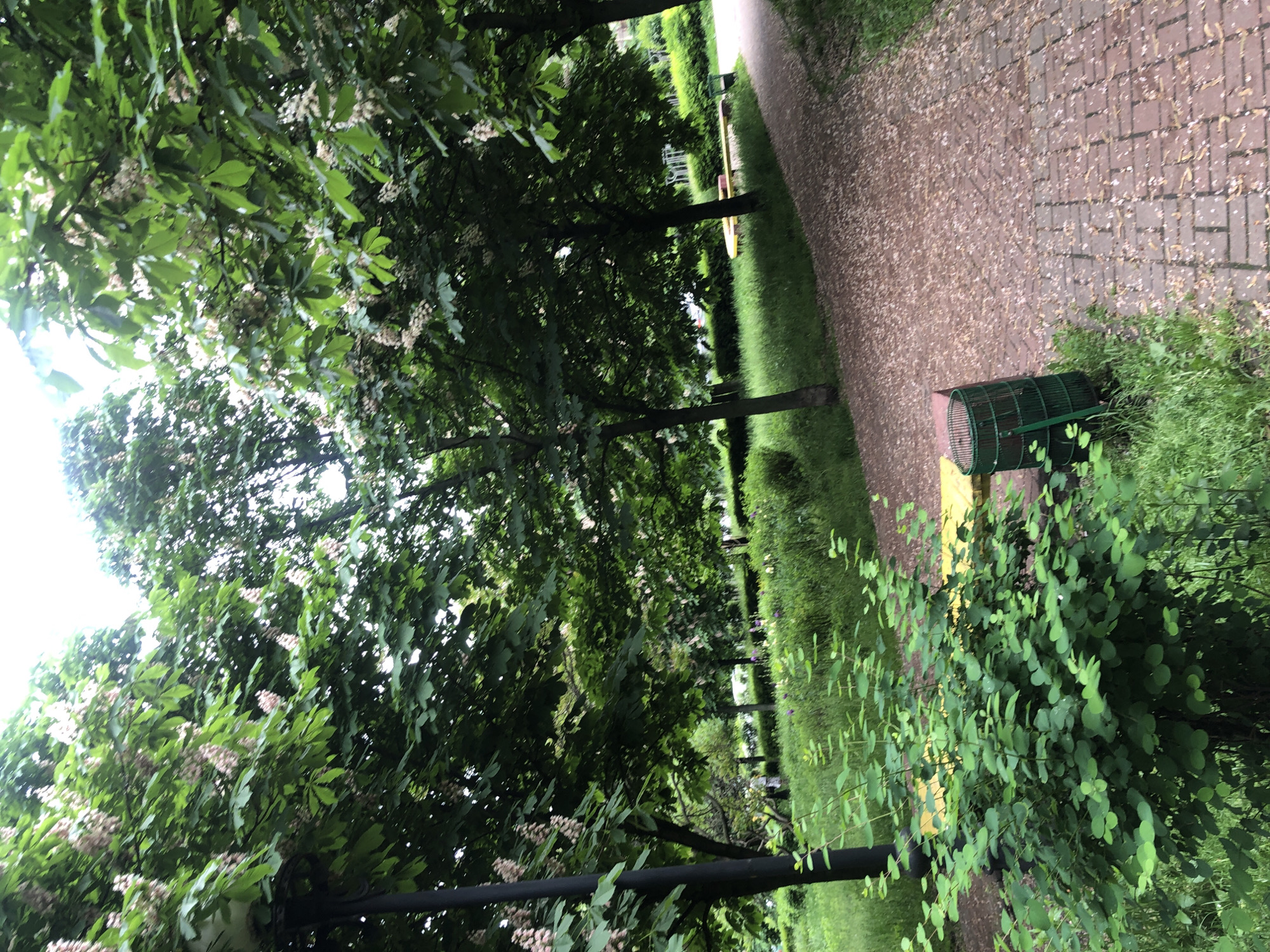 The image shows a park scene in Kyiv, Ukraine. A brick and gravel path curves through the park, lined with green grass and trees. A green trash can sits on the edge of the path. The trees have green leaves and white flowers.