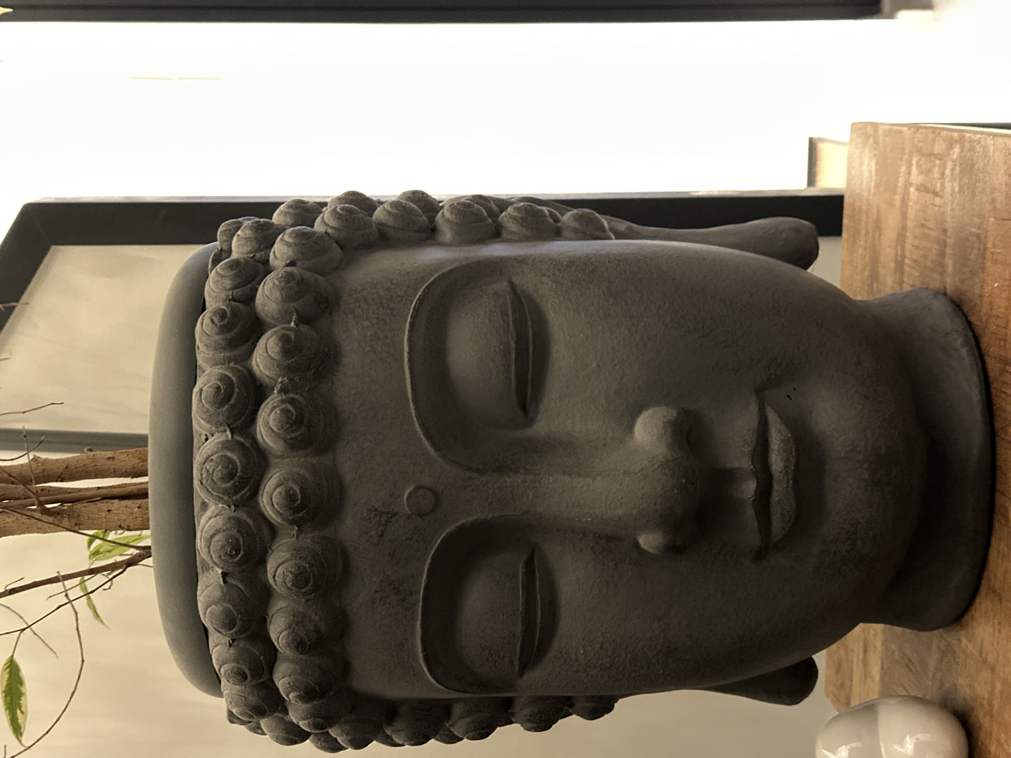 The media file features a close-up, rotated view of a dark gray, textured Buddha head statue. The statue is positioned on its side, with the face looking towards the viewer's left. The Buddha's eyes are closed, and its lips are slightly parted in a serene expression. The statue has distinctive curly hair arranged in rows on its head. To the right of the statue, a portion of a rough, light brown wooden surface is visible, suggesting it might be part of a shelf or furniture. In the background, a bright, out-of-focus white area dominates, possibly indicating a window or a brightly lit wall. On the left side of the statue, slender branches with a few small green leaves are partially visible, adding a touch of nature to the composition. The lighting appears to be soft, creating subtle shadows on the statue's face and highlighting its textured surface. There is no discernible text within the frame. The overall scene evokes a sense of tranquility and meditation, likely set indoors given the lighting and the presentation of the statue.