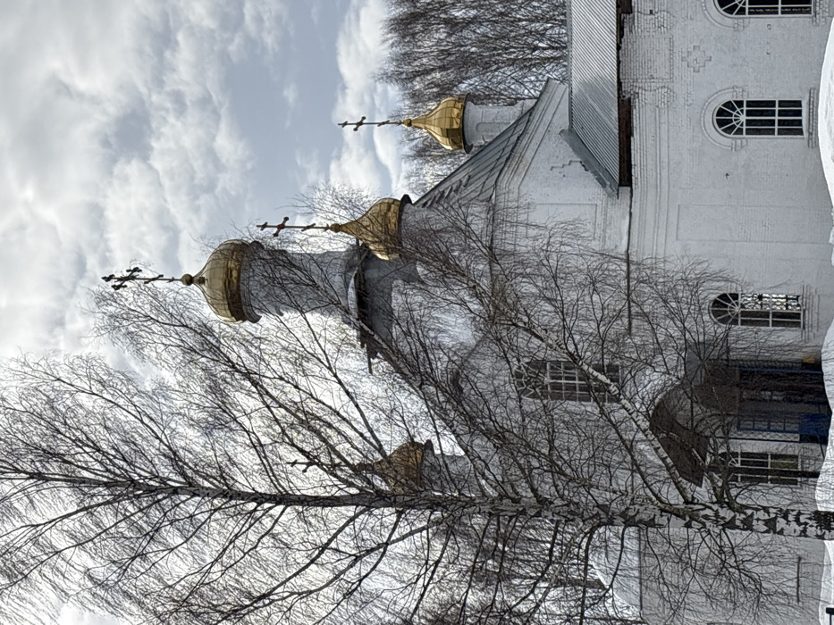 The image displays a white Russian Orthodox church in the city of Полозово, Russia, under a partly cloudy sky. The church features white brick walls, grey metallic roof sections, and four visible golden, onion-shaped domes, each surmounted by an Orthodox cross. The tallest dome, situated centrally, rises from a white cylindrical drum. Smaller domes are located to its right and partially to its left. Multiple arched windows with white frames and visible panes are integrated into the church's facade. A recessed entrance with a blue door is partially obscured by a foreground tree. A large, deciduous birch tree with bare branches occupies the left-to-center foreground, its trunk and network of fine branches partially obscuring the church and sky. A line of other bare trees forms the background, particularly on the right side. Patches of snow are visible on the ground in the foreground, indicating a cold weather season. No people or animals are present.