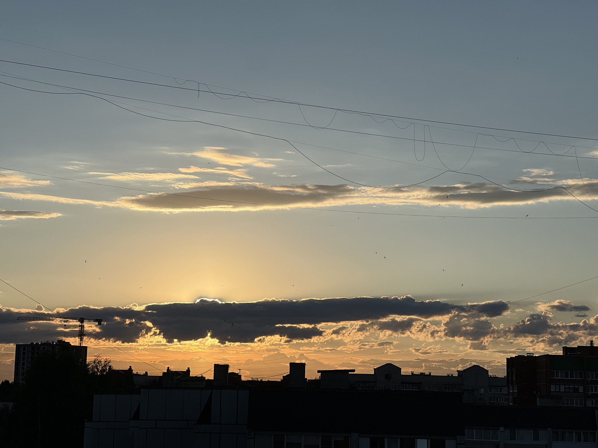 The image depicts a sunset or sunrise over a cityscape in Chaikovsky, Russia. The sky transitions from a soft blue at the top to vibrant orange and yellow hues at the horizon, indicating either dawn or dusk. A prominent, elongated dark cloud band partially obscures the low-lying sun, creating a bright, glowing halo effect and backlighting the cloud edges with golden light. Other scattered clouds also reflect these warm tones.
Several dark, thin utility wires stretch across the upper and middle portions of the sky, with some lines featuring distinctive wavy or looped sections. Numerous small, dark birds are visible in flight against the illuminated sky, adding a sense of life to the scene.
The lower third of the image reveals the dark silhouette of an urban landscape. Various buildings, including multi-story structures with discernible rooftops and chimneys, form the city skyline. On the left, a large construction crane stands tall and silhouetted, suggesting ongoing development. Dark masses of trees are also visible among the buildings. The overall scene conveys a tranquil moment at the beginning or end of the day over an active urban environment. No visible text is present in the image.