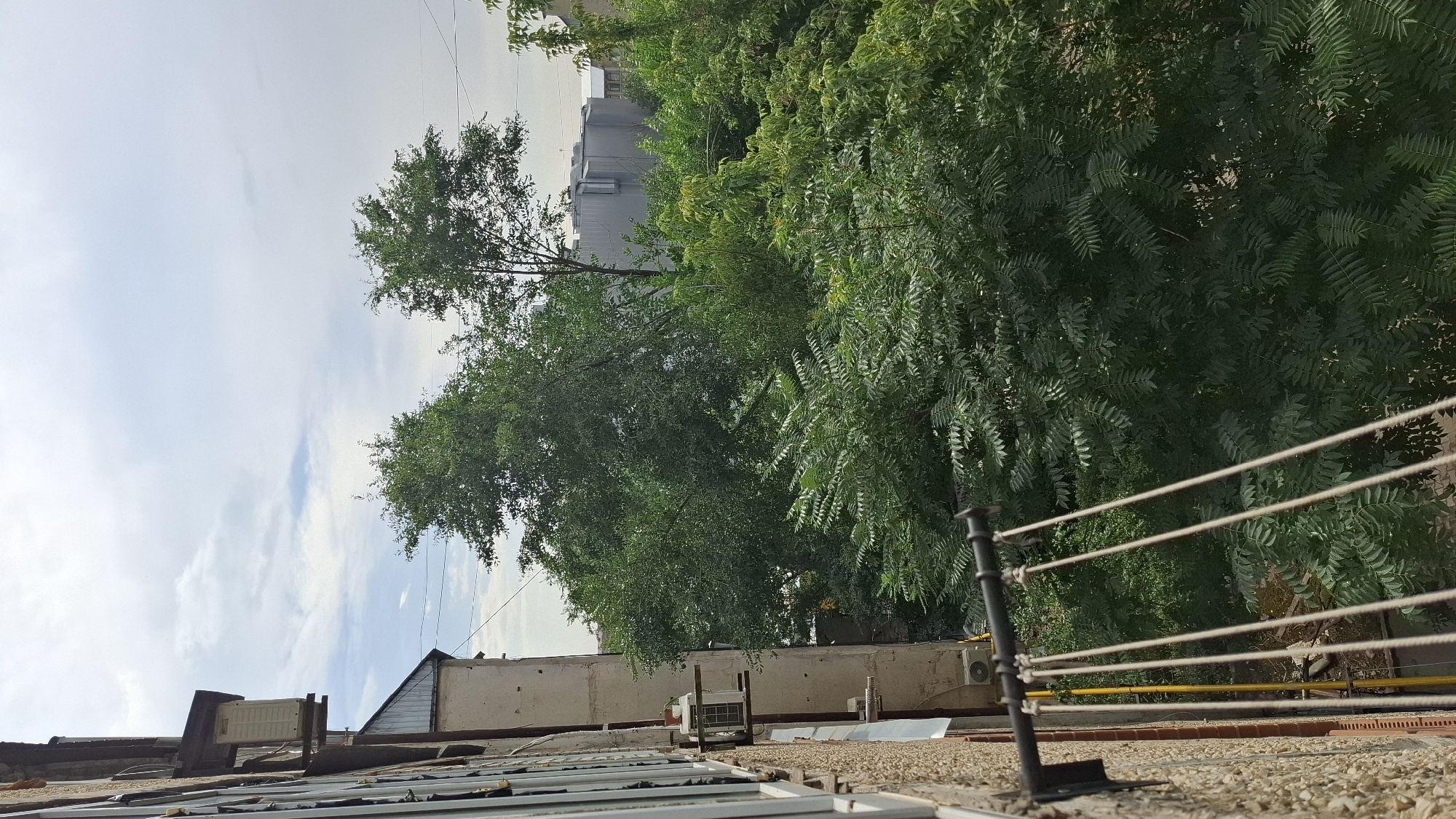 A slightly overcast sky looms over an urban scene in Shymkent, Kazakhstan. In the foreground, a textured, light-colored building wall occupies the left side of the frame. A black metal bracket extends from this wall, supporting a clothesline with several beige ropes. To the right of the building, lush green trees dominate the middle and right portions of the image. Among the foliage, a large, silver building with ventilation systems is visible in the background. Several air conditioning units are mounted on the side of the building in the foreground. The scene appears to be a residential area with a mix of architecture and natural elements.