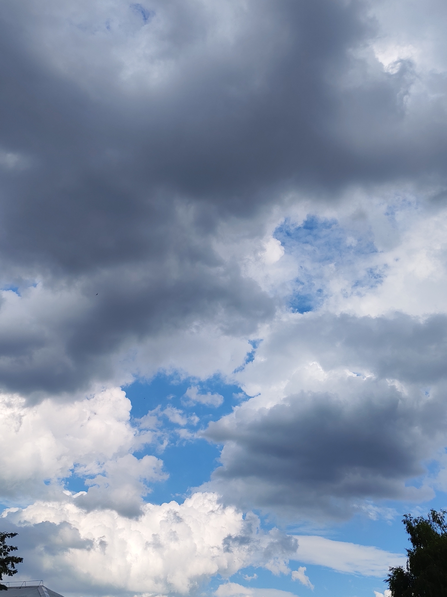 The image depicts a dramatic sky filled with a mix of dark, stormy clouds and bright, fluffy cumulus clouds against a backdrop of clear blue sky. The scene is likely an outdoor setting. A few small birds are visible as dark silhouettes against the clouds, indicating they are flying. The light suggests it is daytime, possibly late afternoon or early evening, given the contrast between the dark and light clouds. The location is identified as Izhevsk, Russia, though no specific landmarks are visible to confirm this. The overall mood is somewhat intense due to the looming dark clouds, suggesting the possibility of impending rain or a storm, contrasted with the patches of bright blue sky and white clouds that offer a sense of calm. There is no visible text in the image.