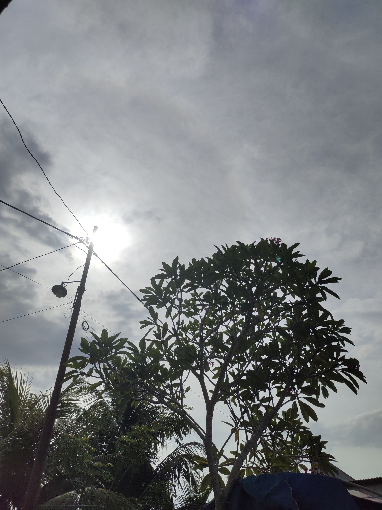 The image depicts an outdoor, upward-angled view of an overcast sky in Rayeukmatangkuli, Indonesia. A bright sunburst, partially obscured by clouds, dominates the upper left quadrant, casting a strong backlight. A dark utility pole stands prominently on the left, extending from the lower left to the upper center, with a downward-facing street light fixture attached. Multiple dark electrical wires extend from the pole, traversing the upper portion of the frame; some wires are coiled near the pole. A large tree with dense, dark green foliage, possibly a Frangipani, occupies the right side of the image, extending from the lower right upwards, with hints of reddish flowers at its crown. Additional dense foliage, including palm trees, is visible in the lower left background. In the lower right foreground, a corrugated metal roof and a section of a blue tarp or covering are partially visible. No individuals or animals are present.