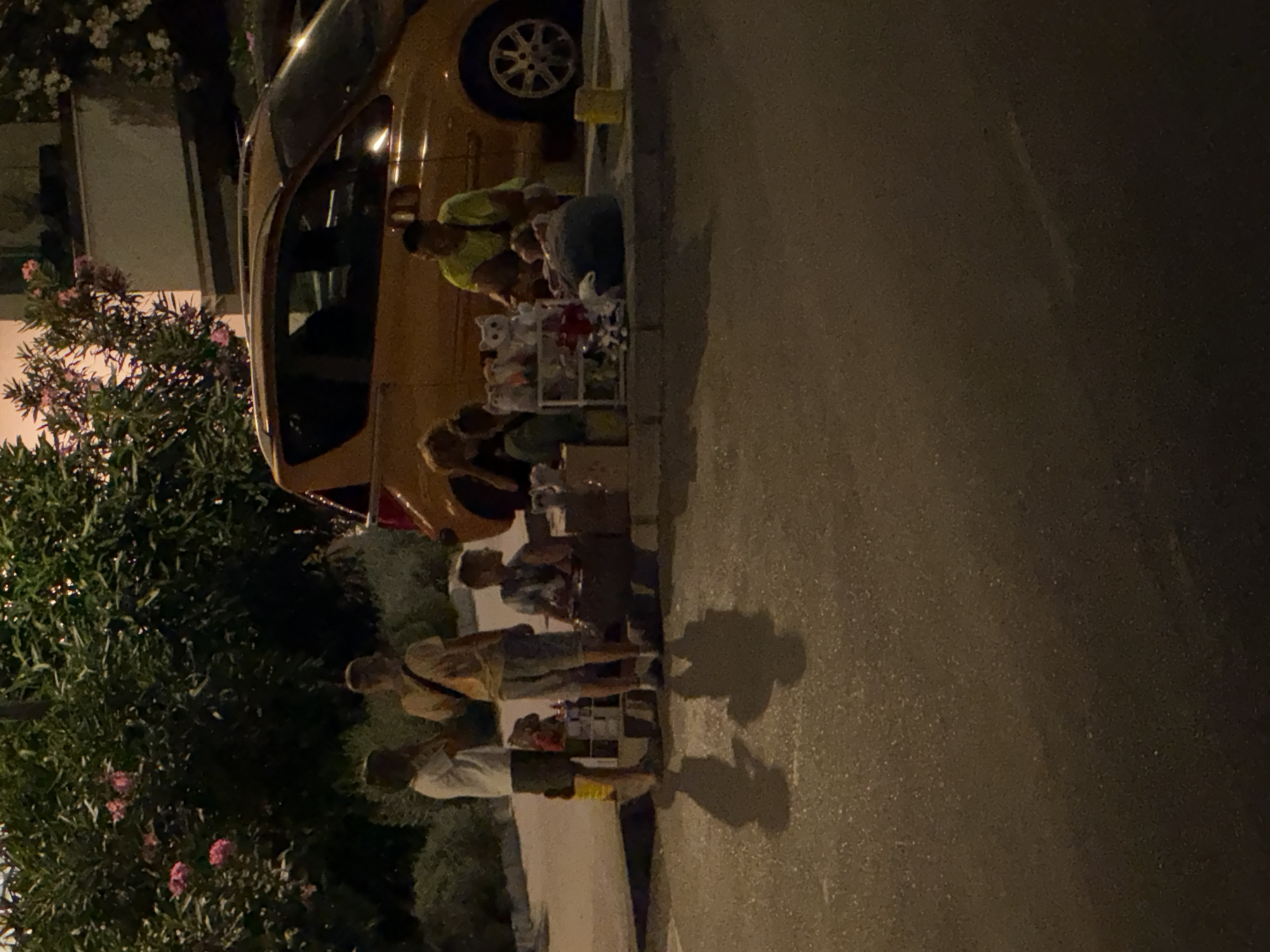 In Boreti, Montenegro, at dusk, a group of people are gathered by a yellow minivan parked on a street. Two young males stand on the left side of the frame, facing right, with one wearing a white t-shirt and dark shorts and the other a tan t-shirt and light shorts. To their right, another young male sits, facing left, wearing a patterned t-shirt and dark shorts. In the center, a person with dark hair in a bright yellow t-shirt is crouched down, facing left. They appear to be interacting with a display of stuffed animals and other merchandise arranged on shelves and boxes. A dark beanbag chair or cushion is also visible next to the merchandise. The background consists of lush green foliage, some with pink flowers, and a building. The scene suggests a small roadside stall or informal market.