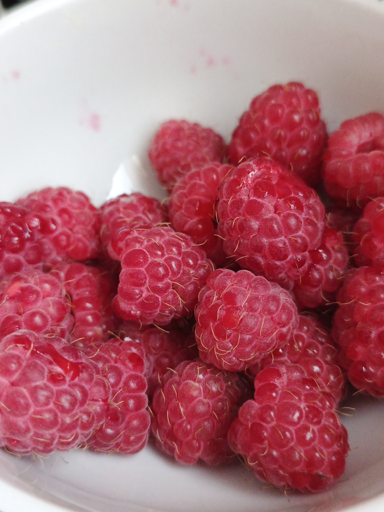 A close-up, eye-level shot shows a white bowl filled with ripe raspberries. The raspberries are a vibrant red, with a textured surface composed of drupelets. Some raspberries appear slightly wet, with small droplets of liquid visible. The bowl itself is white and out of focus in the background, with a few faint pink speckles visible on its surface. The lighting is bright and natural, highlighting the detail and freshness of the fruit. There are no people or other objects in the image. The scene is presented in a clean, minimalist aesthetic, focusing solely on the raspberries. The location of Medvedyovka, Russia is not depicted in the image.