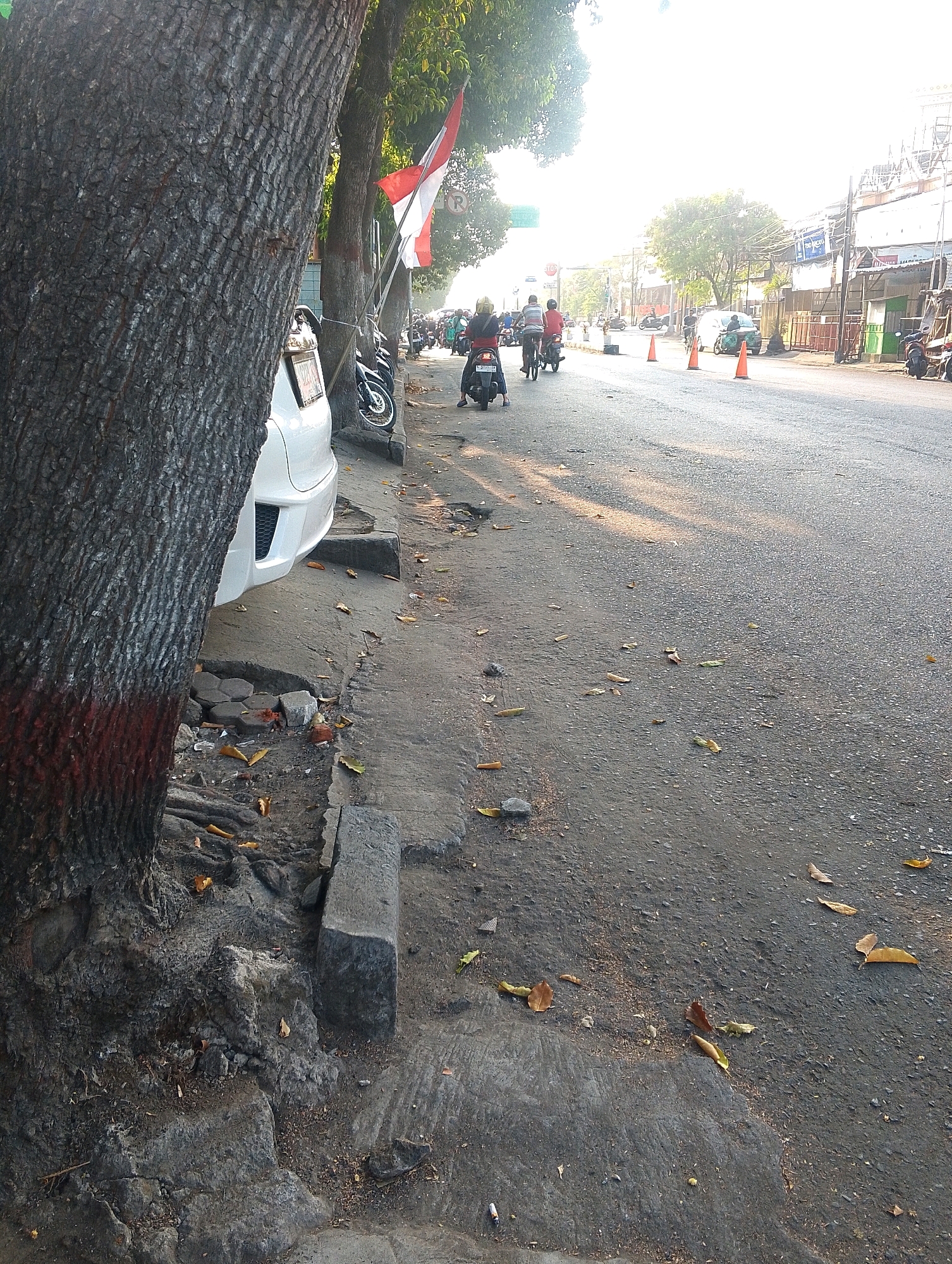 In an outdoor urban setting, a close-up shot focuses on the textured bark of a large tree on the left. The tree's base is marked with red paint near the bottom. To the right of the tree, a white car bumper is visible, partially obscuring a sidewalk. The sidewalk is made of concrete and appears to be cracked and uneven in places, with some scattered debris and fallen leaves. Beyond the sidewalk, a paved road stretches into the distance, with several motorcycles and a few cars visible. Some of the motorcycles are parked along the side of the road. In the background, buildings and more trees line the street, and a bright, hazy sky suggests it is either early morning or late afternoon. A flag, red and white, is attached to a pole near the trees. Several orange traffic cones are placed on the road in the middle ground, and the sunlight casts long shadows. The overall scene depicts a typical street view in a city, with a focus on the natural element of the tree and the urban infrastructure.