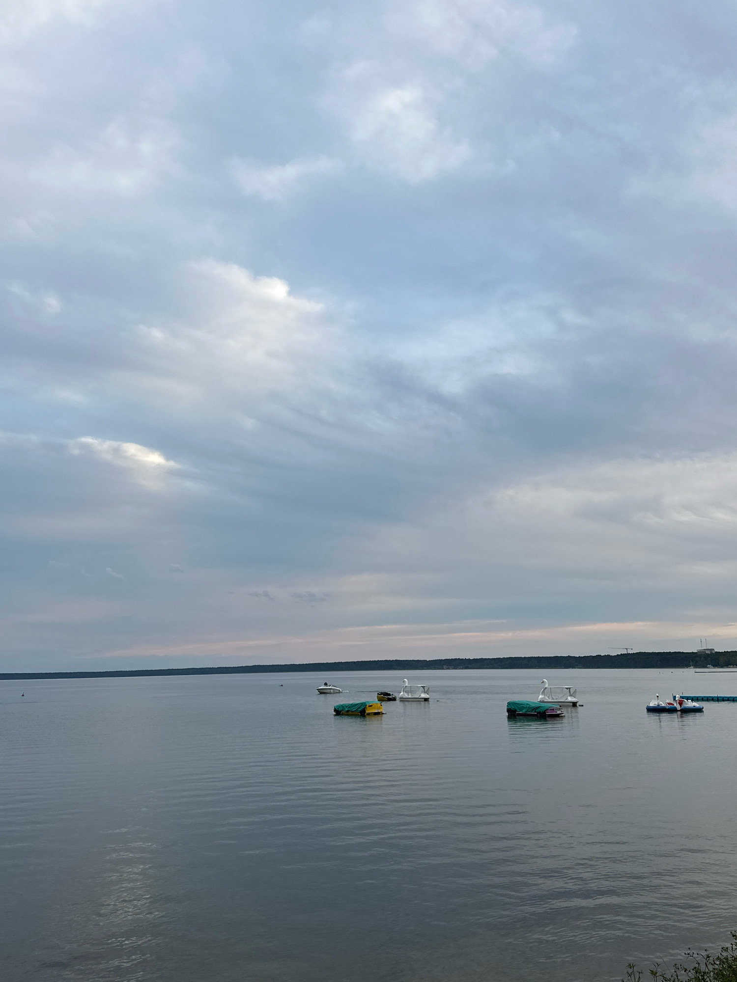 The image depicts a serene, overcast day on a wide, calm body of water, likely a lake or a large river. The sky is filled with a soft, grey cloud cover, with hints of lighter patches suggesting diffused sunlight. The water's surface is mostly smooth, reflecting the muted tones of the sky, with subtle ripples indicating a gentle breeze.
In the distance, a dark, tree-lined shore stretches across the horizon. On the water, several swan-shaped paddle boats are visible, some stationary and others appearing to be in use. One larger, white boat with a red accent is also present, moving across the water. There are also a few smaller, covered boats anchored or floating. The overall atmosphere is peaceful and tranquil. The location is the Нарацкі сельскі Савет in Belarus, a region known for its natural beauty and numerous lakes, which often feature recreational activities like paddle boating.