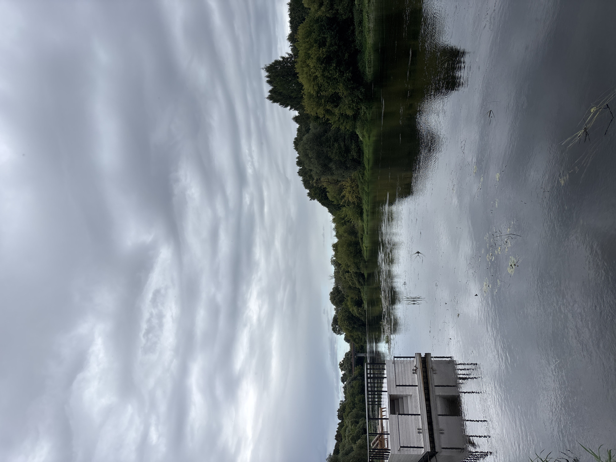 The image depicts a serene river scene under a cloudy sky. In the foreground, a modern, multi-level wooden deck with black railings and two lounge chairs is situated on the water. Steps lead down from the deck into the river. The river itself is calm, reflecting the overcast sky and the lush green trees that line its banks. In the distance, a bridge spans the river, and beyond that, more dense foliage. The overall atmosphere is peaceful and somewhat melancholic, likely due to the overcast weather. The scene is located in the city of Zvenigorod, Russia.