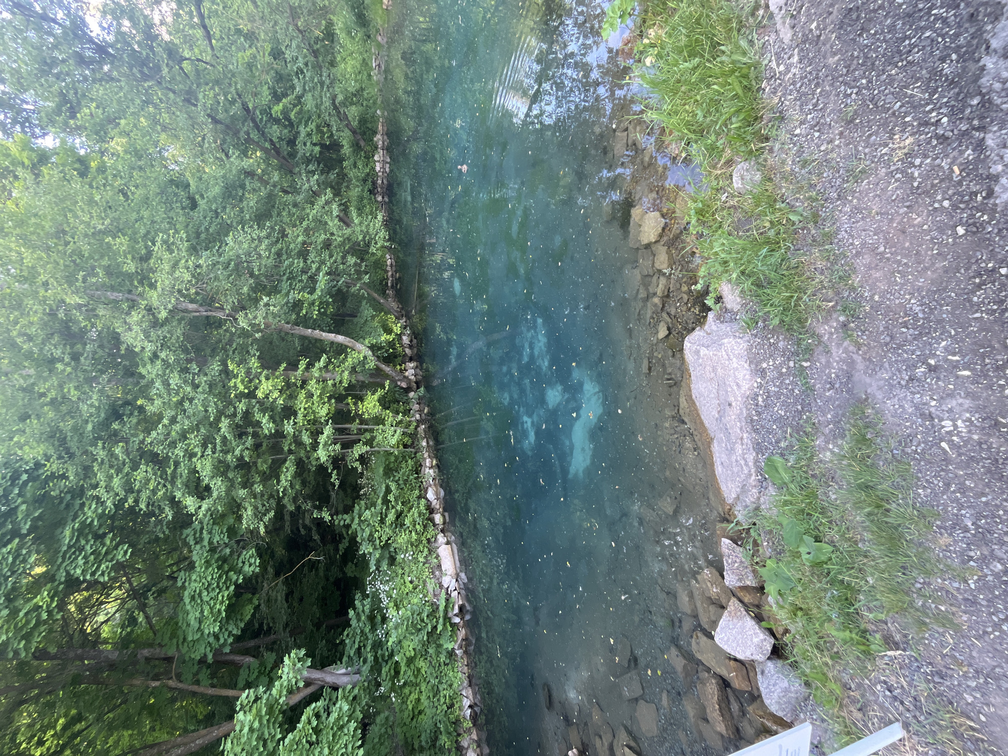 The image depicts a tranquil natural scene featuring a body of water with striking turquoise-blue hues, bordered by lush green trees and vegetation. The water's clarity allows visibility of the rocky bottom in shallower areas. Several large stones and smaller pebbles line the edge of the water, transitioning to a gravel path in the foreground. In the middle of the water, a single duck is visible, creating ripples on the surface. The background is dominated by dense foliage, with sunlight filtering through the leaves, suggesting it is daytime. The setting appears to be a natural spring or a clear pond. Based on the context of a natural spring with clear turquoise water and lush greenery, this scene is likely located at the "Glubokoe Ozero" (Deep Lake) natural monument, a popular natural attraction located in the Saby municipal district of the Republic of Tatarstan, Russia, which is geographically relatively close to Kazan.