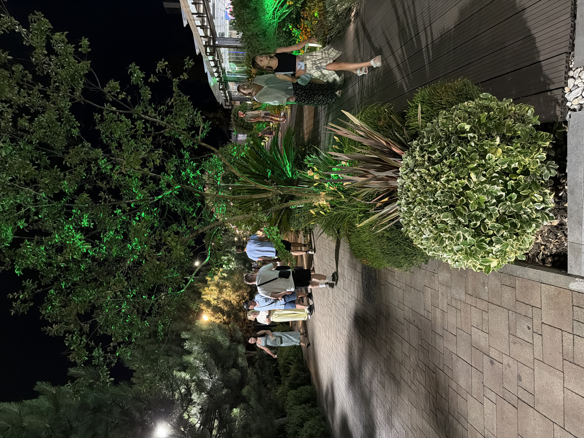 The image shows a group of people walking and standing on a paved pathway lined with lush greenery and trees. The scene appears to be outdoors at night, with artificial lights illuminating the area, casting a green glow on some of the foliage. Several individuals are visible, dressed in casual attire. Some are walking in pairs or small groups, while others are standing and interacting.
In the foreground, a round, bushy plant with variegated green and white leaves is prominent. To the left, large trees with dark green leaves are present, with some branches reaching towards the top of the frame. The pathway is made of patterned paving stones. In the background, a wooden deck area is visible, with more people gathered and illuminated by bright lights. The overall setting suggests a public space, possibly a park, garden, or outdoor dining area, at night. The atmosphere seems relaxed and social. The time of day is clearly night, indicated by the darkness of the sky and the artificial lighting. No visible text is present in the image. The location context of Sochi, Russia, hints at a potentially coastal or resort-like environment, which aligns with the well-maintained landscaping and evening ambiance.