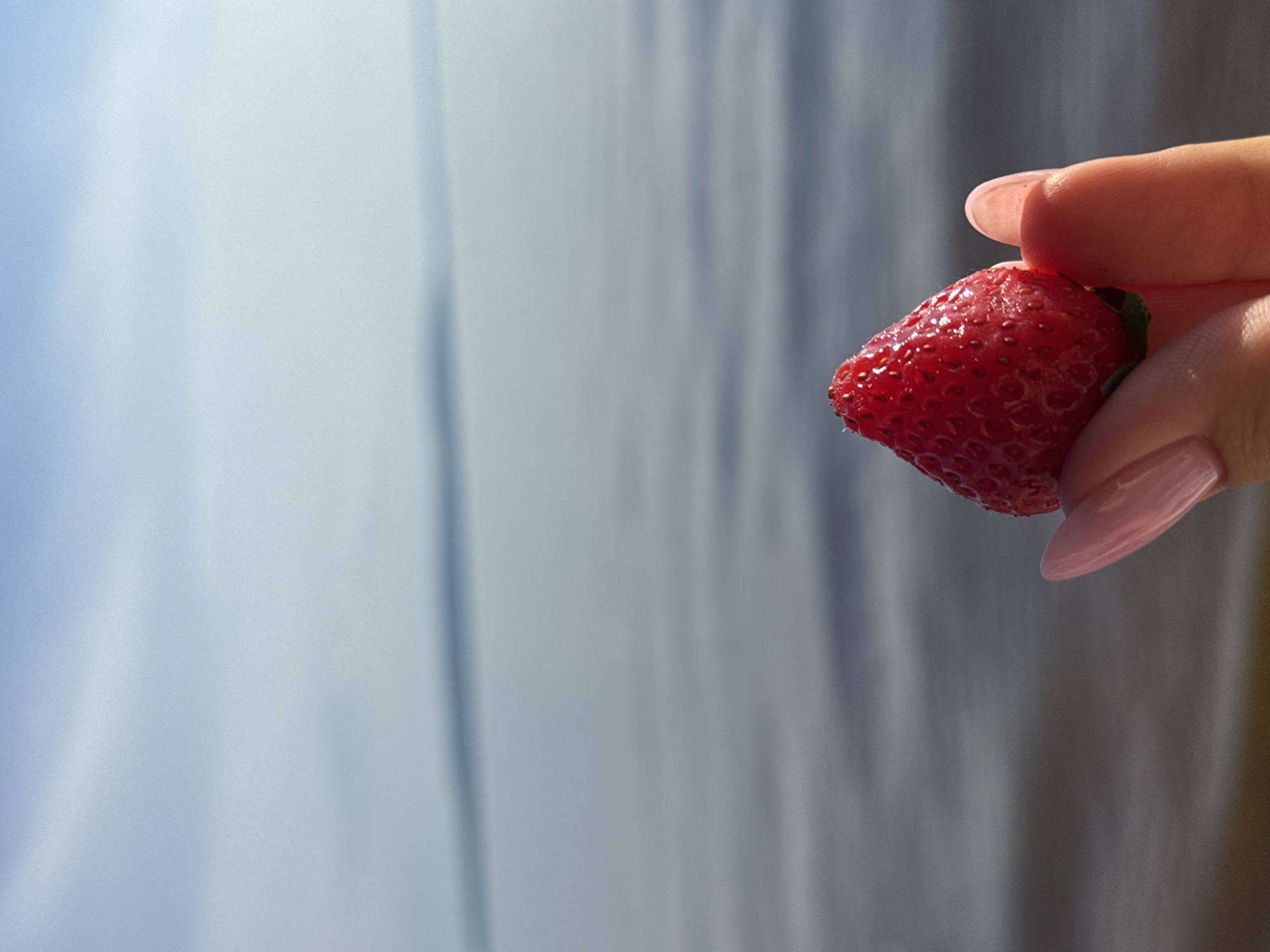 The image shows a close-up of a person's hand holding a single, ripe strawberry. The strawberry is a vibrant red and has a slightly glossy texture, indicating it might be fresh or wet. It's positioned in the right half of the frame, with the fingers of a hand gently cupping it from underneath and to the side. The hand has a light skin tone, and the fingernails are neatly manicured with a pale pink polish. The background is softly blurred, creating a bokeh effect. The background consists of vertical, wavy lines of light blue and grey, suggesting a flowing or curtain-like element, possibly water or fabric. The lighting appears bright, casting subtle highlights on the strawberry and the hand, hinting at daylight. There is no visible text in the image. The focus is entirely on the strawberry and the hand, suggesting an appreciation for the simple beauty of the fruit or a moment of enjoyment. The overall impression is one of freshness and delicate beauty.