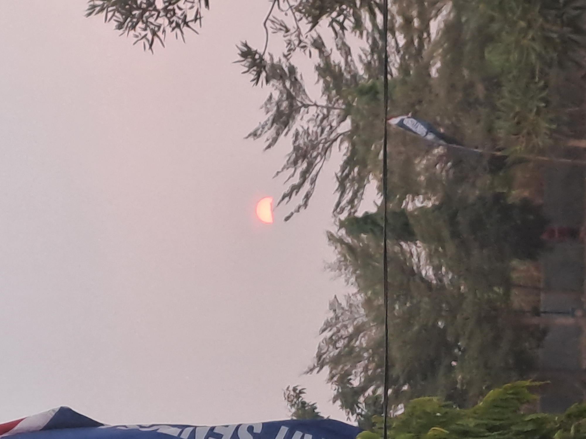 In Pucanganom, Indonesia, a hazy, overcast sky with a faint pinkish hue dominates the scene. A portion of a blue and white flag is visible on the left, its lettering obscured by blur. In the center of the frame, the sun, partially obscured by atmospheric conditions, appears as a small, reddish-orange disc. Silhouetted against the sky are the tops of trees, their branches creating a dense, textured canopy. A thin wire stretches horizontally across the middle of the image, and a smaller, blurry flag, predominantly white and blue with a red accent, hangs from another wire or support in the lower right quadrant. The lower portion of the image transitions to a darker, out-of-focus background of foliage and indistinct shapes, suggesting a natural or park-like setting.