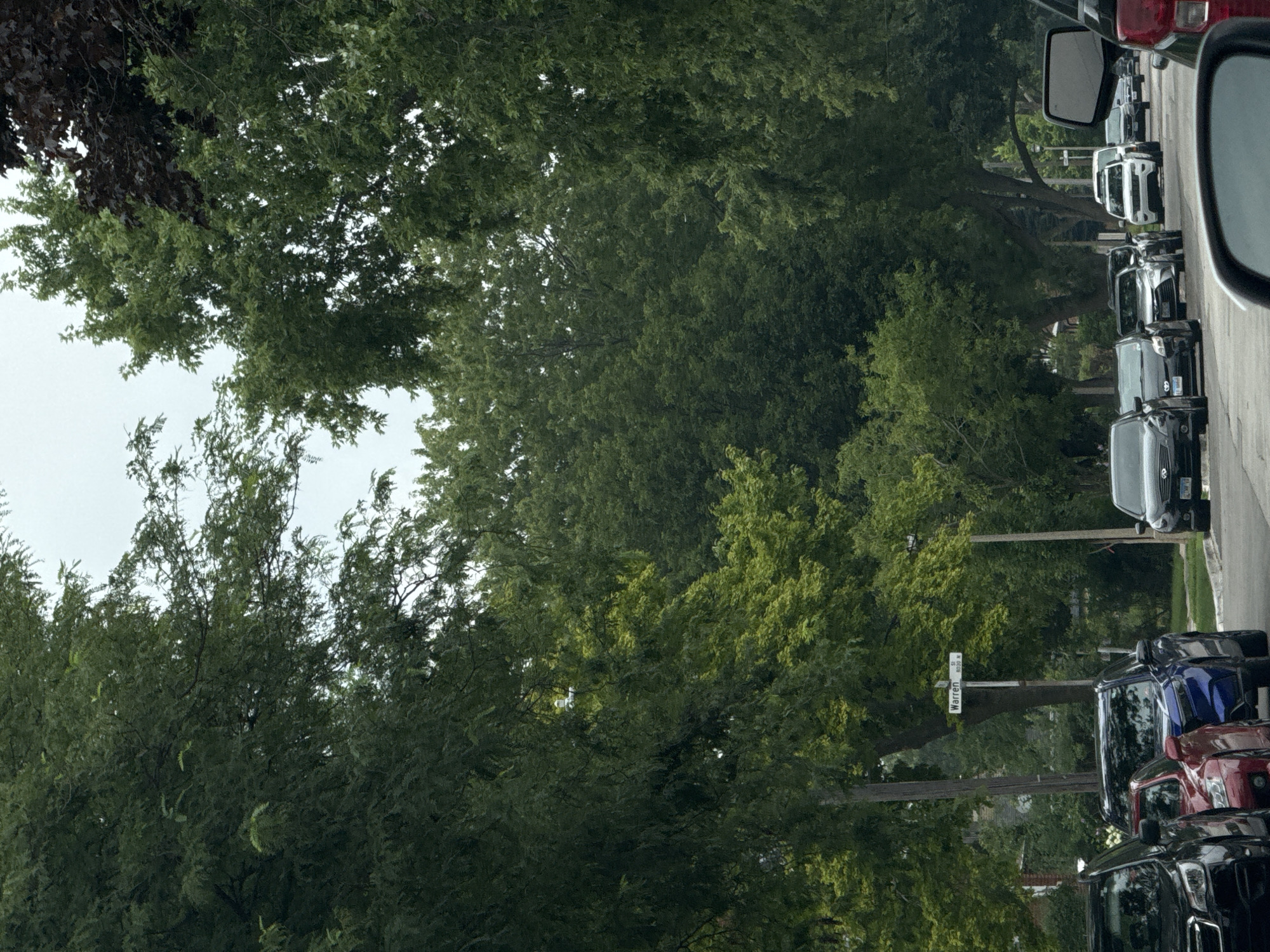 The image shows a street scene in Skokie, Illinois, United States of America. The street is lined with mature trees, their dense foliage creating a canopy overhead, with a slightly overcast sky visible through the leaves. Several cars are parked or driving on the road. A street sign for "Warren St" is visible on a pole. The cars include a black Subaru Forester, a red sedan, a blue SUV, a black Infiniti sedan, and a white SUV further down the road. The overall impression is of a residential street on a cloudy day.