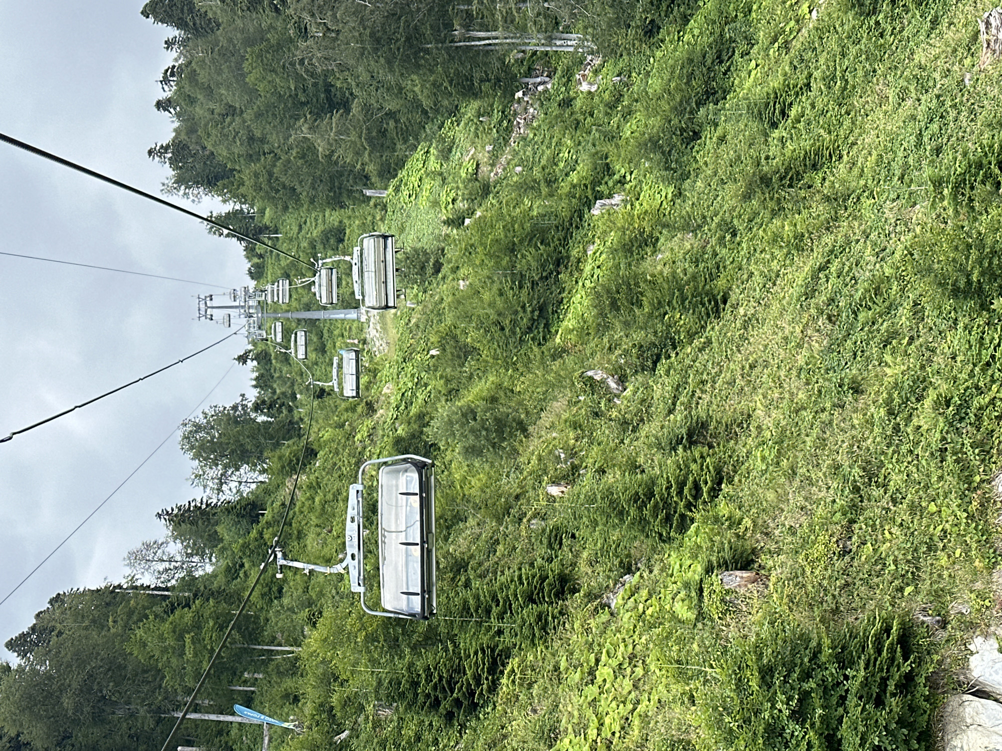 The image captures a ski lift ascending a lush, green mountainside covered in dense forest and vegetation. The ski lift consists of multiple open-air gondolas suspended from a cable, several of which are visible in the frame, moving upwards. The terrain is steep and uneven, with rocks and scattered trees interspersed among the foliage. The sky is overcast with a hazy, diffused light. This scene is located in Estosadok, Russia, a popular mountain resort area.