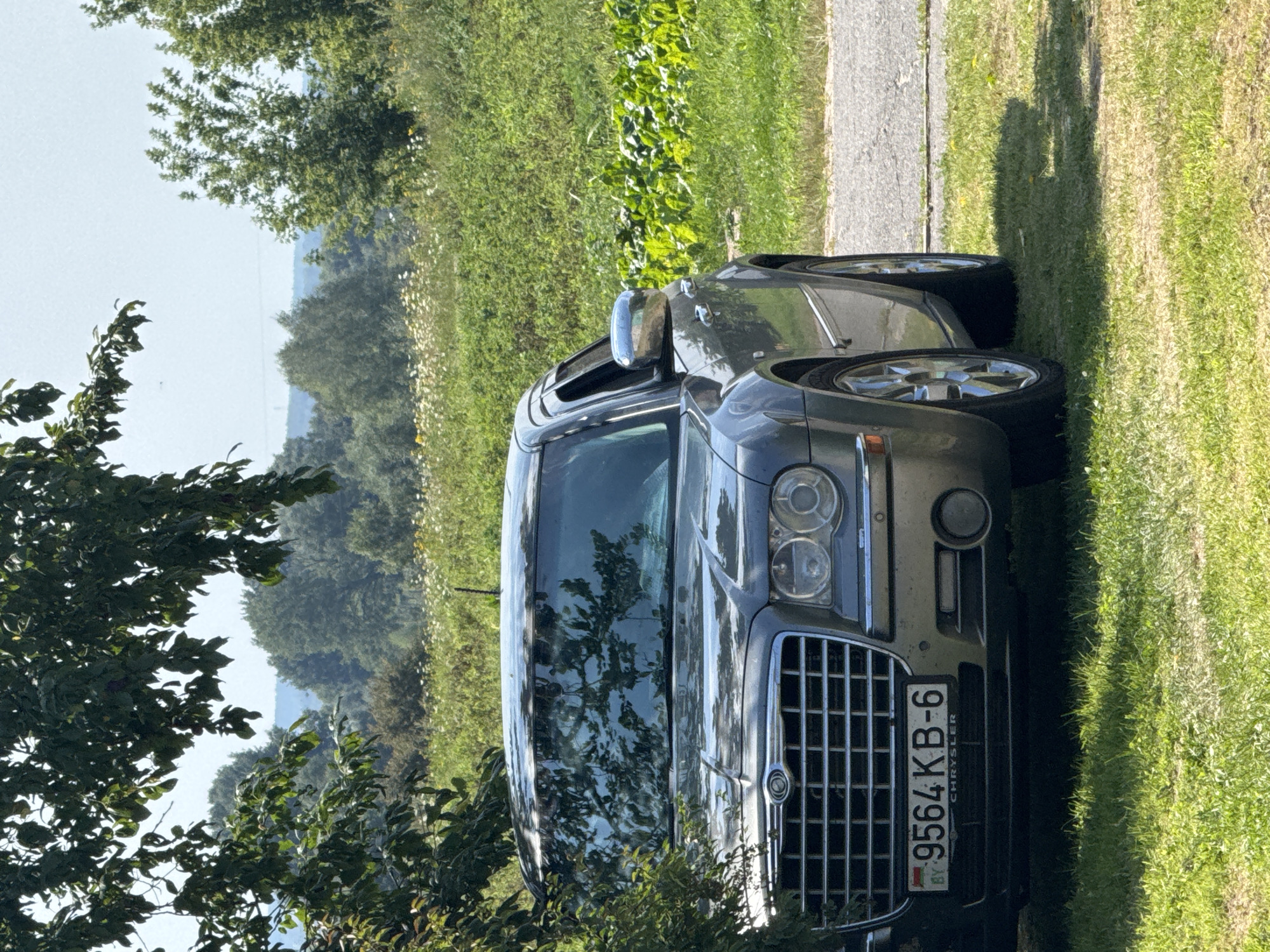 A grey Chrysler 300 is parked on the grass in a rural setting. The car's front is visible, including its grille, headlights, and license plate. The license plate reads "9564 KB-6" and has "BY" indicating Belarus. The car is partially obscured by the branches of a large tree on the left side of the frame. In the background, there is a field of green grass with scattered wildflowers and trees. The sky is clear and blue. The overall scene suggests a peaceful, natural environment.