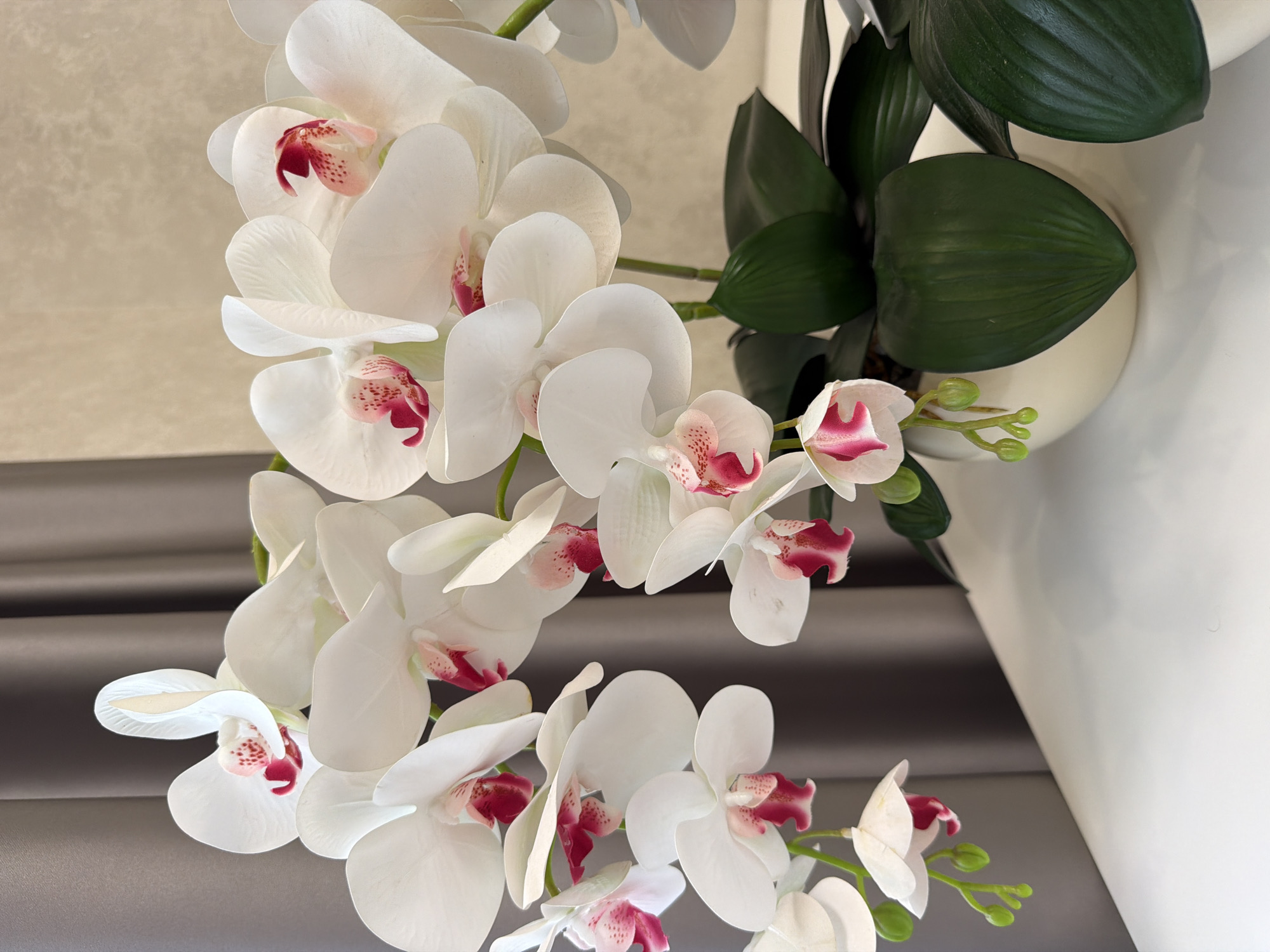 A close-up, eye-level shot shows a bouquet of artificial white orchids with pink centers arranged in a cream-colored pot. The flowers are in various stages of bloom, with some fully open and others in bud. The leaves are a deep green and glossy. The pot sits on a white surface, possibly a table. In the background, gray curtains are visible on the left, and a textured beige wall is on the right. The lighting is soft and diffused. The image is focused on the orchids, with the background slightly blurred.