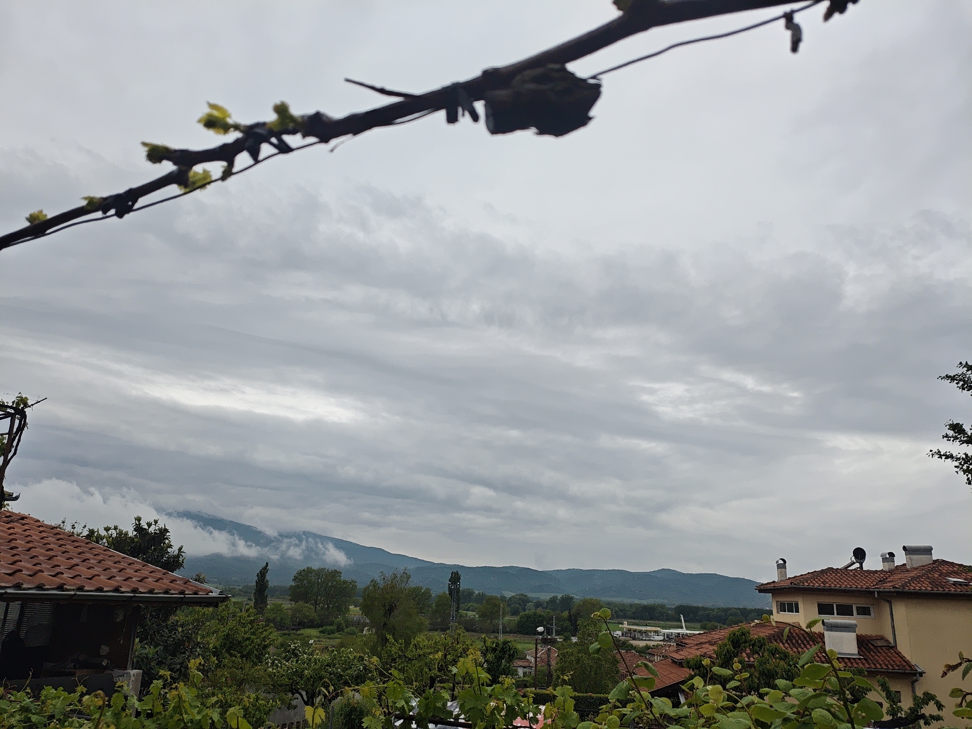 The image presents a panoramic view of a rural or semi-rural landscape under a heavily overcast sky. In the immediate foreground, a dark, out-of-focus grapevine branch extends across the top of the frame, adorned with numerous small, bright green buds, indicating early spring or the growing season.
Below the foreground, the scene reveals a collection of buildings and natural elements. On the left side, the orange-tiled roof and gutter of a house are visible, partially obscured by dense green foliage and climbing vines. On the right, a larger, light yellow-walled building stands prominently, also featuring an orange-tiled roof. This building has several white-capped chimneys and a black satellite dish mounted on its roof. Surrounding these structures are various green trees and shrubs.
The midground features a valley floor with an abundance of green trees, some tall and slender, suggesting coniferous types. In the distance, a cluster of buildings with white roofs can be faintly seen, possibly a commercial or industrial area like a gas station. The background is defined by a range of hills and mountains, which are significantly obscured by thick, low-hanging grey clouds and mist, especially over the peaks to the left. The sky throughout the image is uniformly covered by dense, grey clouds, indicating an overcast day. No people or specific activities are visible. The overall mood conveyed is calm and muted due to the cloudy weather. No visible text is present in the image.