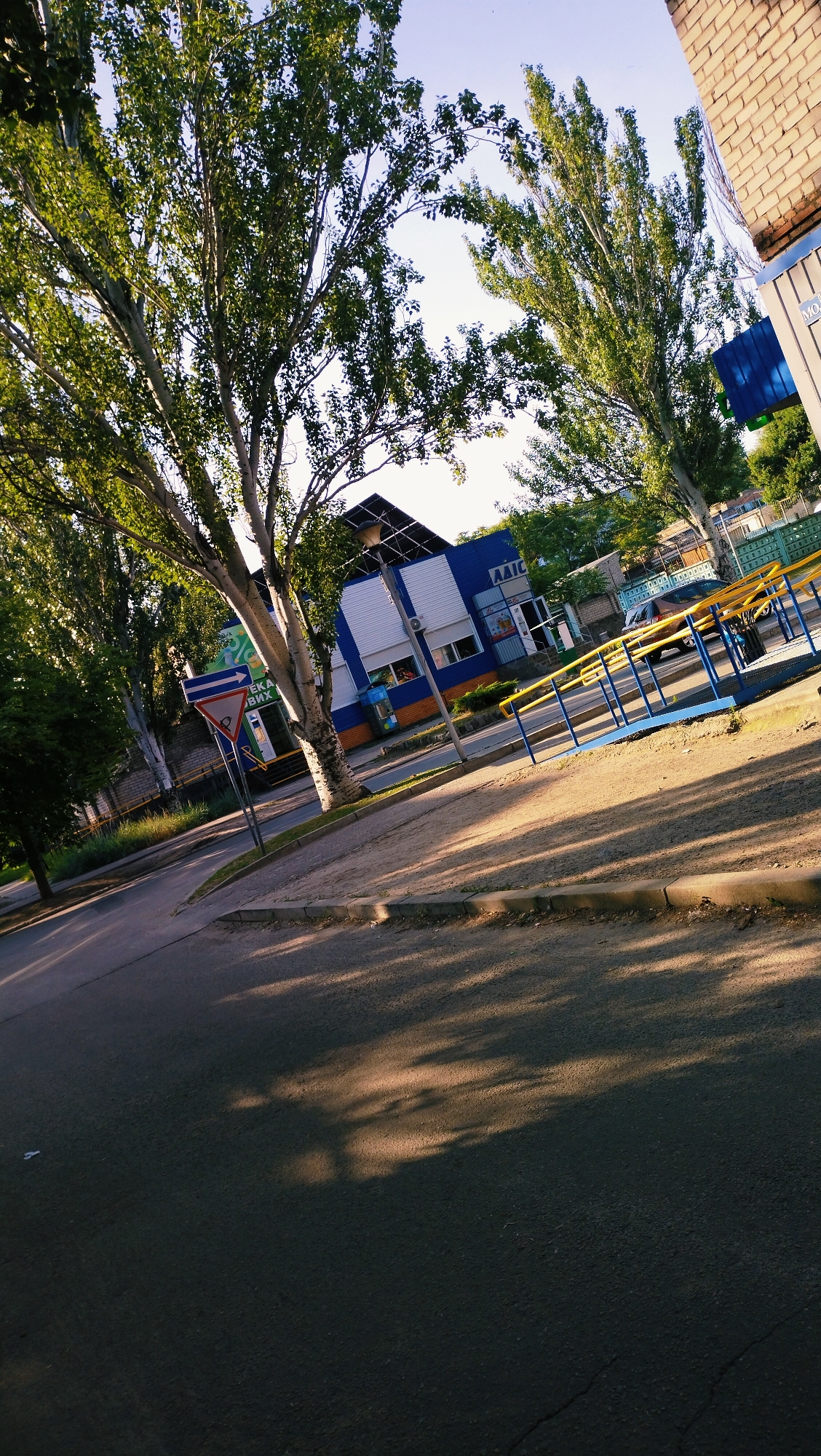 A low-angle, wide shot captures an urban scene in Horishni Plavni, Ukraine. Tall trees with full, green canopies dominate the left and center of the frame, their leaves catching the warm, late afternoon sunlight. The trees are positioned on the right side of a paved road that runs diagonally across the lower portion of the image. In the background, a modern, blue and white building with large windows and a distinctive roof structure stands out. The building appears to be a commercial establishment, possibly a store, with signage visible. Adjacent to the building and extending into the middle ground is a bright yellow and blue ramp system, likely for accessibility. A silver car is parked behind the ramp. A traffic sign, a blue arrow pointing to the right above a red and white yield triangle, is visible on the left side of the road, near the base of a large tree. The road surface is asphalt, with some cracks visible. Shadows from the trees are cast across the road, creating a dappled pattern. The sky above is a clear, pale blue. A brick building, partially visible on the far right, suggests other structures are nearby. The overall impression is a sunlit, everyday scene in a Ukrainian city.