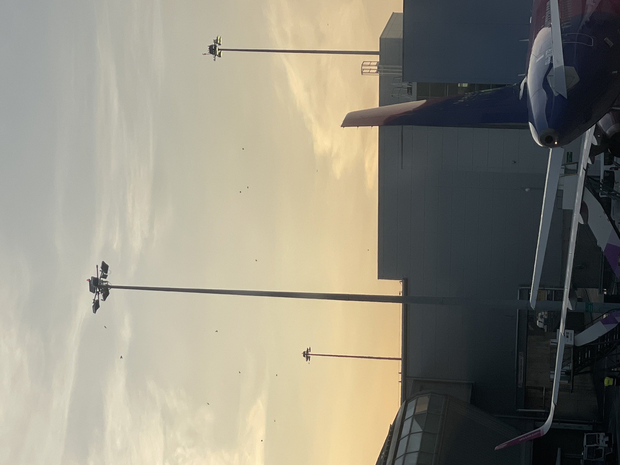 The image depicts an outdoor scene at an airport with a clear sky, likely during sunset given the warm, yellow-orange hue. In the foreground, the tail and wing of a purple and white airplane are visible, suggesting it is parked at a gate. Behind the aircraft, an airport terminal building with a modern, dark gray facade is seen. Several tall light poles, characteristic of airport grounds, are positioned around the terminal. The sky is dotted with numerous small, dark shapes that appear to be birds in flight. One of the light poles in the foreground is particularly prominent, with a multi-lamp fixture at its apex. Another similar pole is visible further in the background. The overall impression is one of an operational airport environment. The location is specified as Luton, United Kingdom.