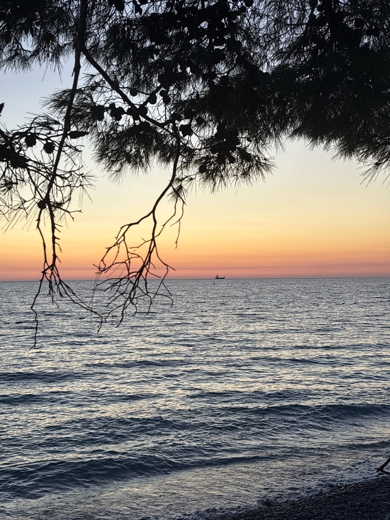 The image shows a serene seascape at sunset, framed by the silhouette of pine tree branches and their pinecones. The sky displays a gradient of warm colors, transitioning from soft yellow and orange near the horizon to a lighter blue at the top. The sea is calm, with gentle ripples reflecting the sky's colors. A solitary ship is visible in the distance, on the horizon line. The foreground features a pebble beach, with the dark silhouette of a small branch in the lower right corner. The overall impression is one of tranquility and natural beauty. The image is presumed to be taken in the city of Bar, Montenegro, given the context.