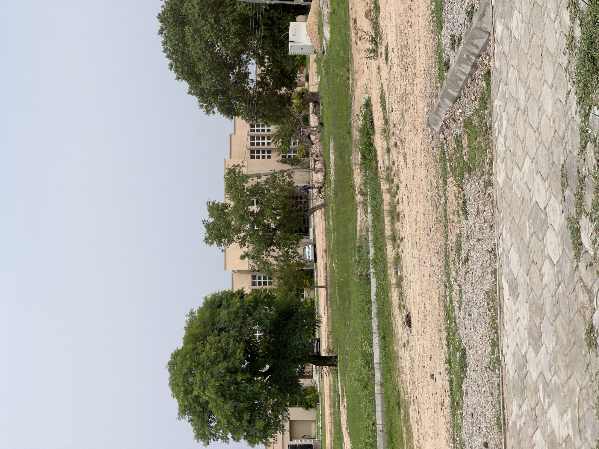 This is a vertical, outdoor, eye-level shot of a building and its surroundings in Yali, Nigeria. The scene is dominated by a light beige, multi-story building with many windows. The building appears to be an institutional or educational facility. In front of the building, a large, mature tree with lush green foliage stands prominently. Smaller trees and shrubs are also scattered around the building.
Adjacent to the building and the trees is a dirt path, interspersed with patches of green grass and gravel. Further to the right, a paved walkway made of light-colored, diamond-shaped interlocking stones runs along the edge of the dirt path. The sky is overcast and a light, pale blue, suggesting a diffused light, possibly indicating early morning or late afternoon, or a cloudy day.
There are at least two vehicles visible near the building, a silver SUV and a black car, parked on what appears to be a driveway or access road. The overall impression is one of a quiet, perhaps academic or administrative, setting during daylight hours. No people are clearly visible in the scene, though some shadows might suggest their presence or recent activity. The environment appears dry, with sparse vegetation in some areas, characteristic of a warm climate. There is no discernible text visible in the image.