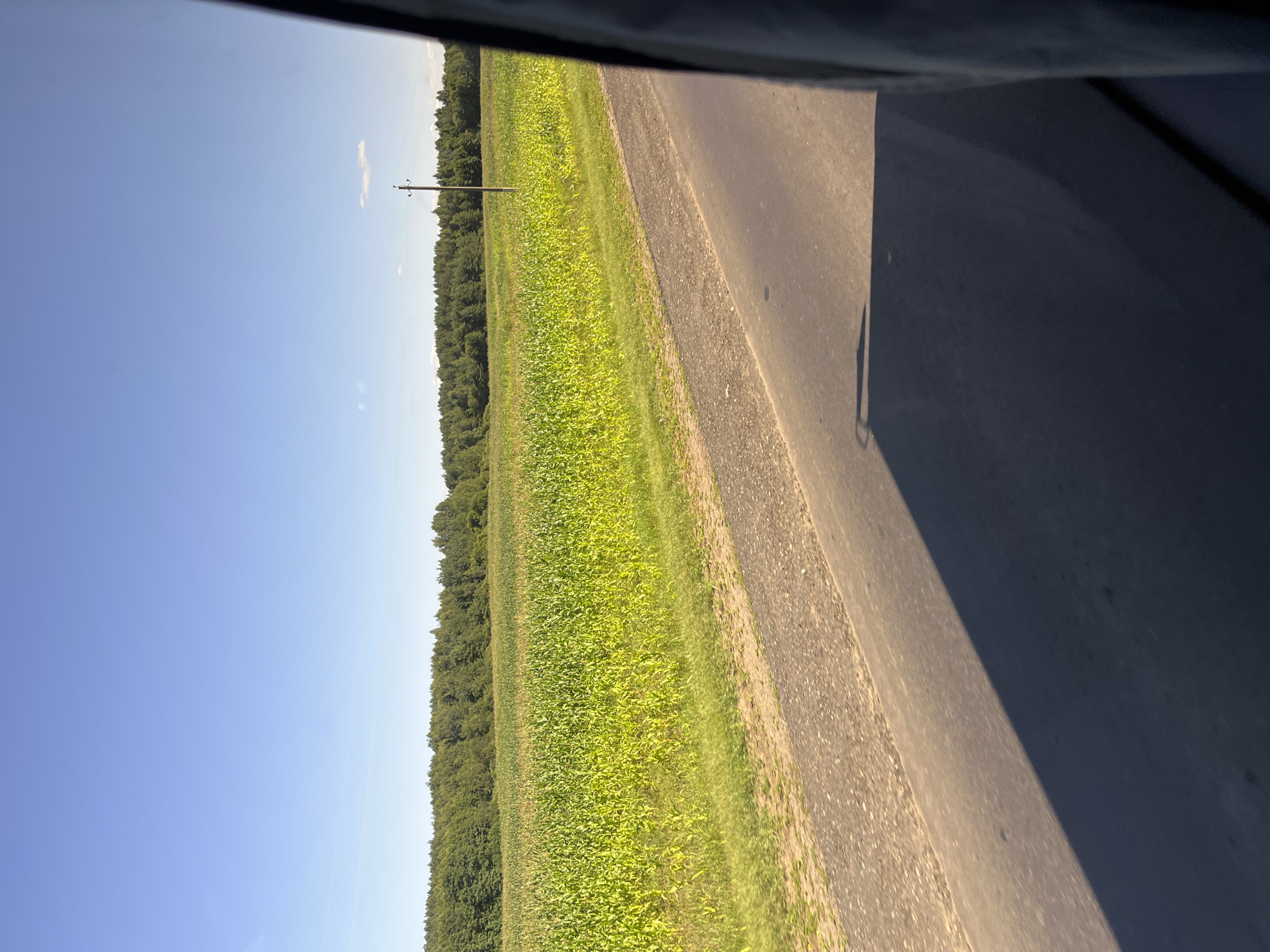The image depicts a rural scene with a clear blue sky and a vast field of green crops, likely corn, stretching towards a dense line of trees in the background. A gravel shoulder runs alongside a paved road, which occupies the foreground and is cast in shadow. A solitary utility pole stands in the field, and part of a dark-colored object, possibly a vehicle or a structure, is visible on the right edge of the frame. The overall impression is one of a sunny day in the countryside of Юнькаўскі сельскі Савет, Belarus.