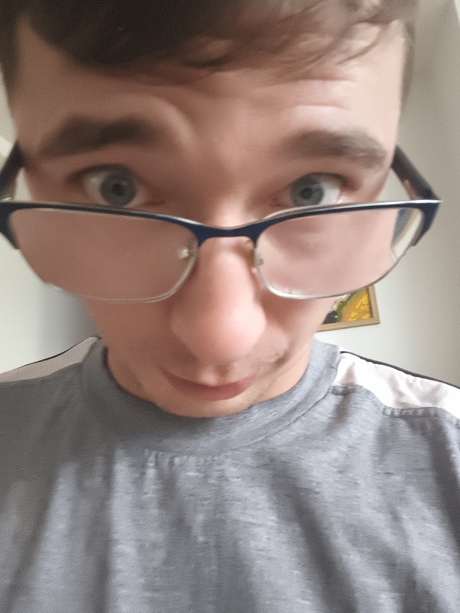 A close-up selfie of a fair-skinned man wearing glasses and a grey t-shirt with white shoulder stripes. The man has short brown hair, noticeable eyebrows, and light blue eyes. His expression is one of wide-eyed surprise or amusement. A small painting is visible blurred on the wall behind him. The location of the photo cannot be identified.