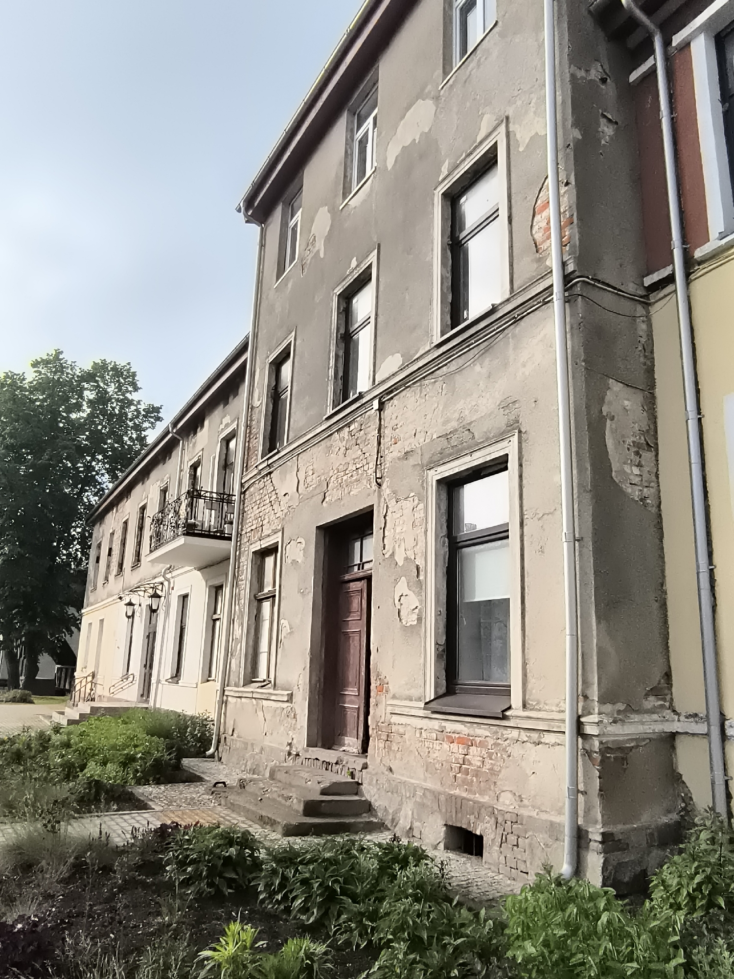 The image presents a daytime view of a row of weathered, multi-story buildings in Priekulė, Lithuania, under a clear, pale blue sky. The closest building, dominating the right foreground, features a grey, stuccoed facade that is significantly cracked and peeling, exposing reddish-brown brickwork underneath, particularly around its windows and foundation.
This building has several rectangular windows with dark frames and a dark wooden entrance door accessed by concrete steps. A metallic downspout runs vertically along its right side, where it meets an adjacent building with a lighter, yellowish facade. Further down the street, another similar building is visible, also exhibiting signs of age and peeling plaster. A small, wrought-iron balcony with an ornate railing extends from the second floor of this building.
In the immediate foreground, garden beds filled with various green bushes and plants, including some with purple flowers suggesting lavender, add a touch of lushness to the scene. Paving stones are visible around the base of the buildings and pathways. A large, mature tree with dense green foliage stands to the far left, partially obscuring the distant end of the street. The light is soft and diffused, indicating either morning or late afternoon. No people or specific activities are visible, presenting a quiet, static urban landscape. There is no discernible text in the image.