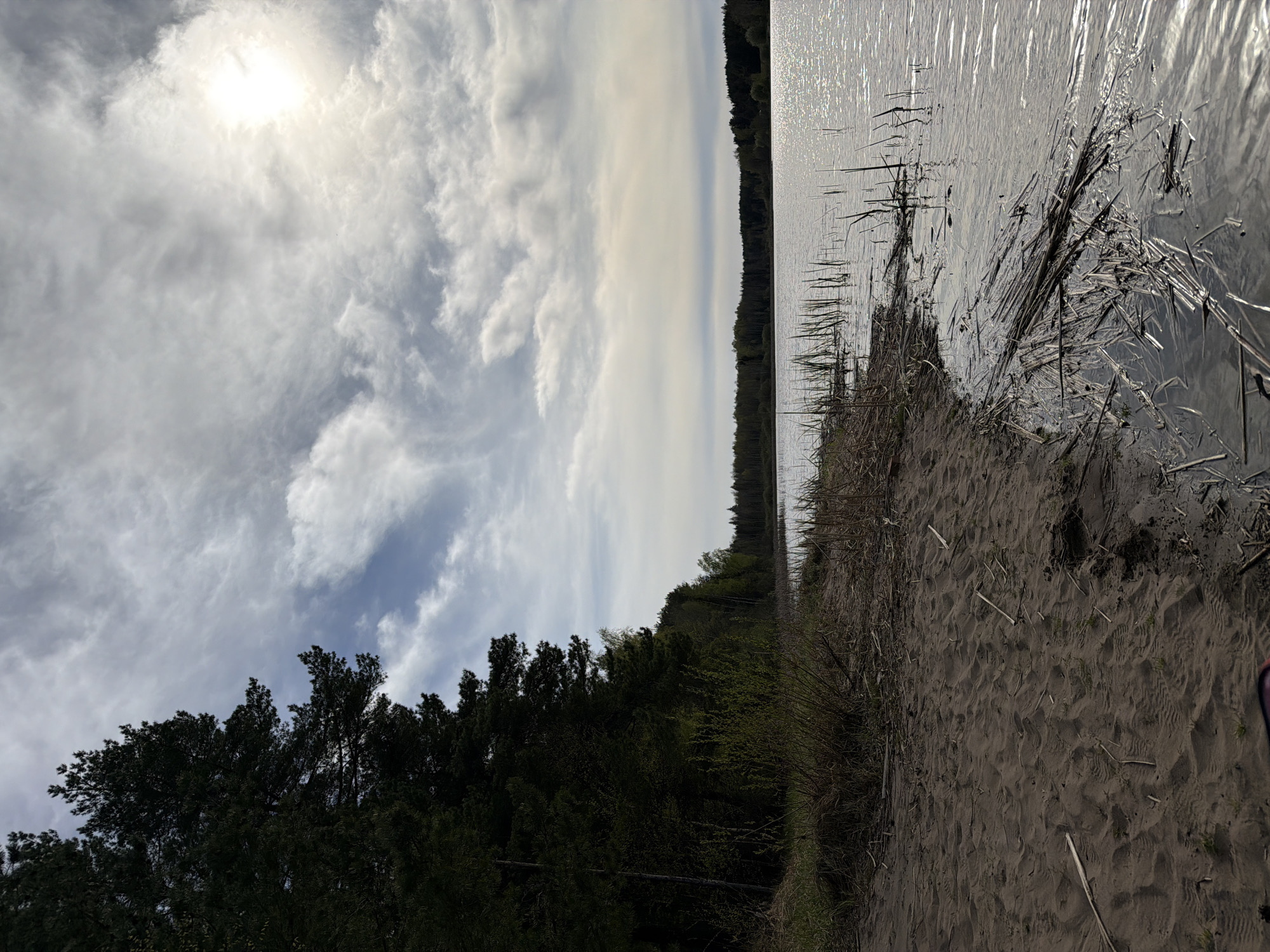 The image shows a view of the Kama River in Chaikovsky, Russia. The river stretches horizontally across the upper right portion of the frame, with sunlight reflecting off the water's surface. Along the riverbank, there is a sandy beach, with vegetation growing along the water's edge. A dense line of trees runs parallel to the river, separating the shoreline from the sky above. The sky is partly cloudy, with the sun shining through the clouds on the left side of the frame.