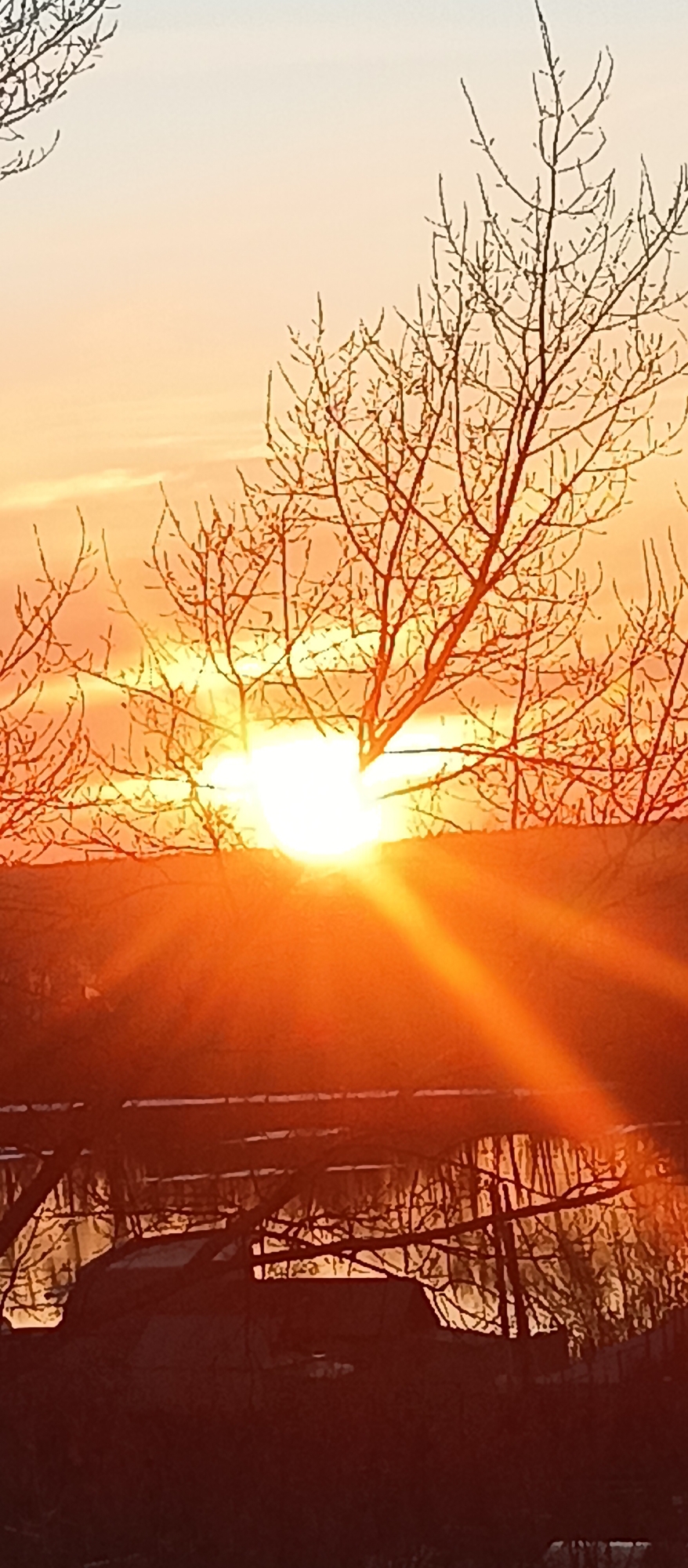 The image depicts a sunset, likely in a rural or suburban setting, with a stark contrast between the bright sun and the silhouette of bare trees. The sun, a bright orange orb, is partially obscured by a treeline, creating a lens flare effect. In the foreground, branches from leafless trees are visible, and there's a dark, undefined object in the lower portion of the frame, possibly a vehicle or part of a building. The sky transitions from a light peach to a deeper orange closer to the horizon, suggesting a time shortly before or after sunset. Reflections are visible in a body of water, showing the silhouettes of trees and possibly a structure. The overall tone is warm, due to the color palette of the sunset.